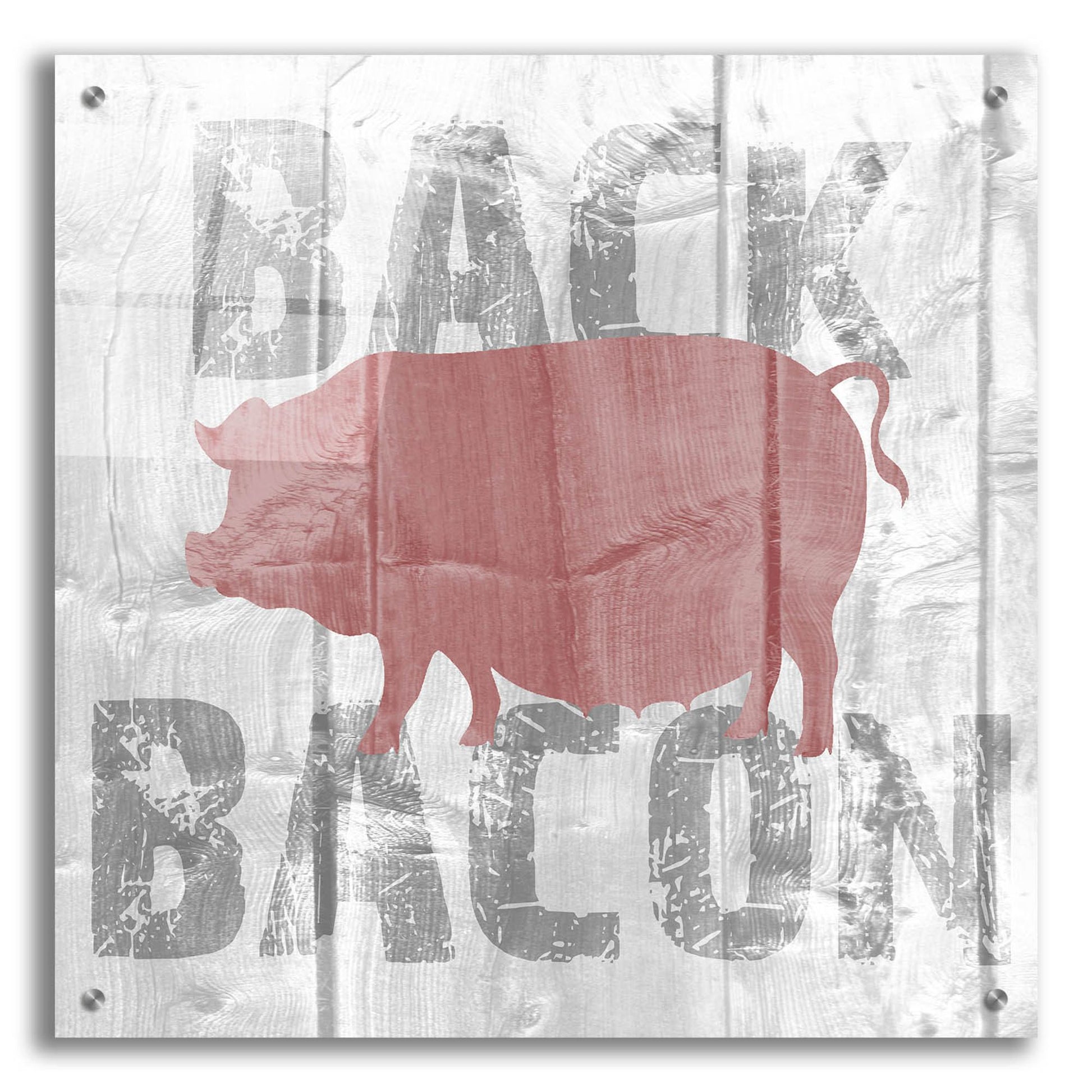 Epic Art ' Back Bacon' by Alicia Soave, Acrylic Glass Wall Art,24x24