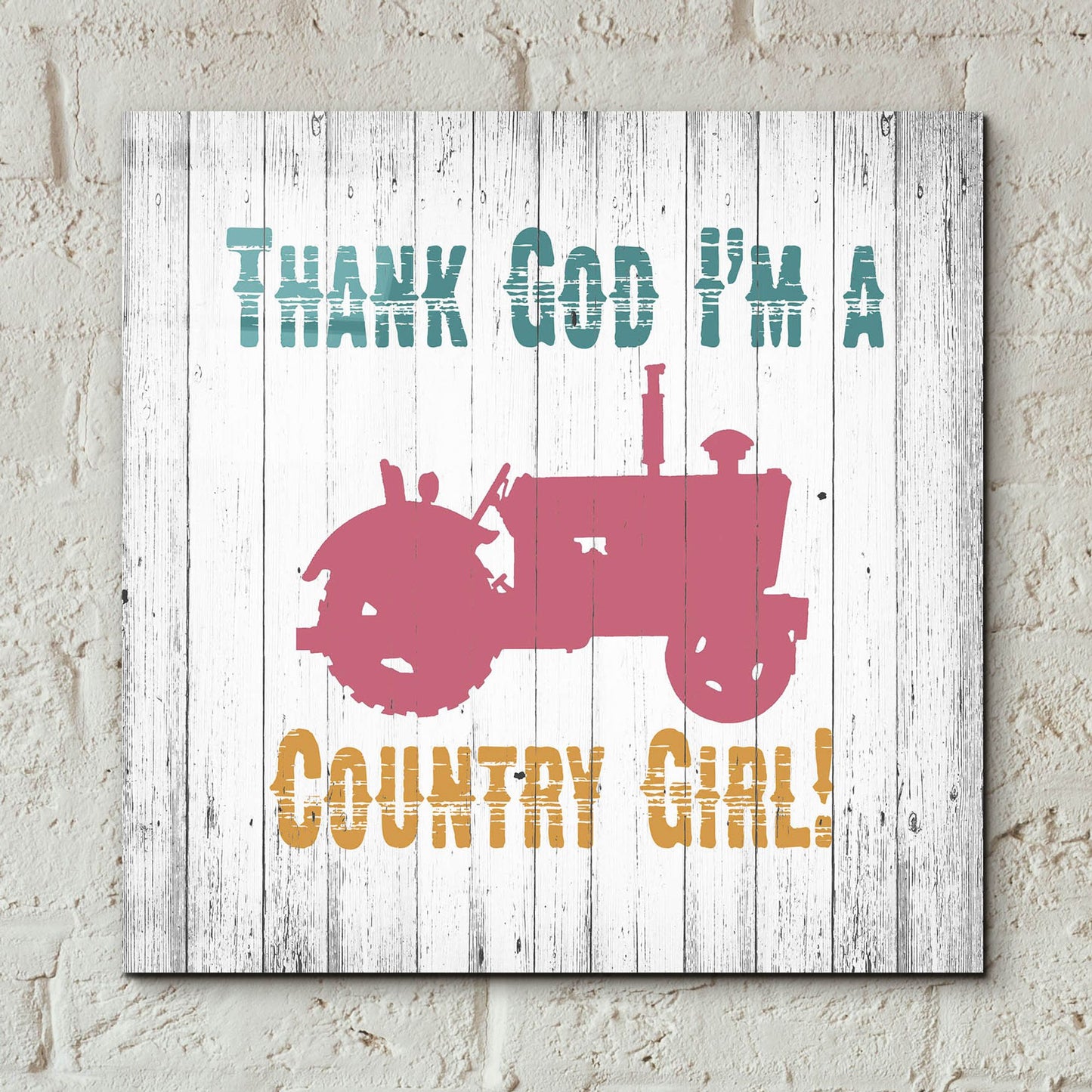 Epic Art ' Country Girl' by Alicia Soave, Acrylic Glass Wall Art,12x12