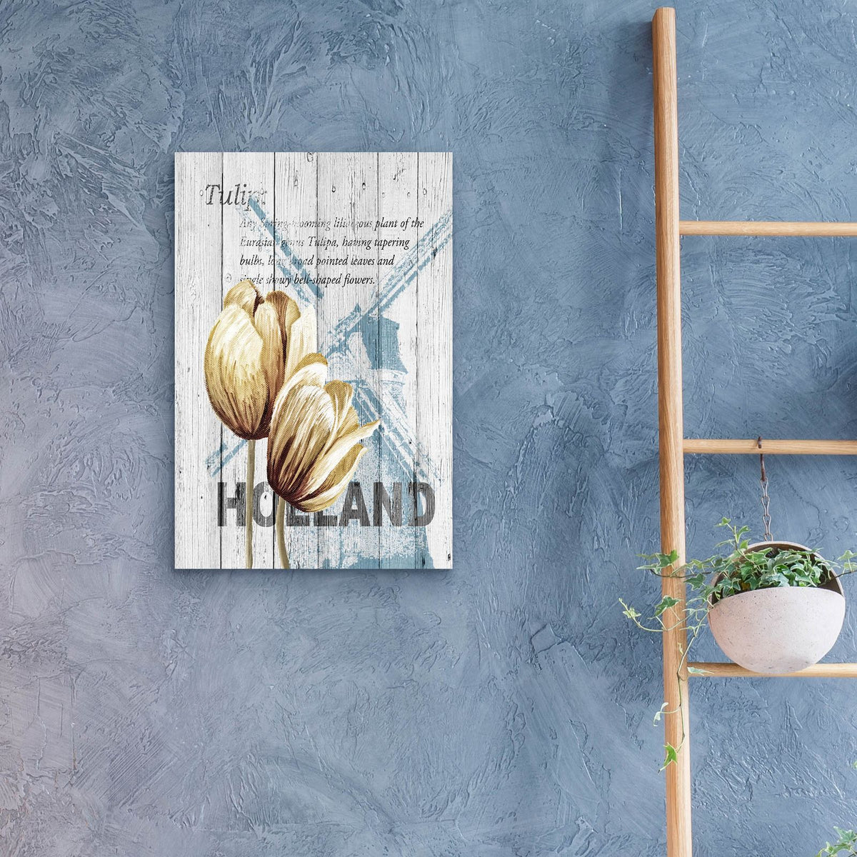 Holland Tulips by Alicia Soave - 16x24 acrylic wall art in a room