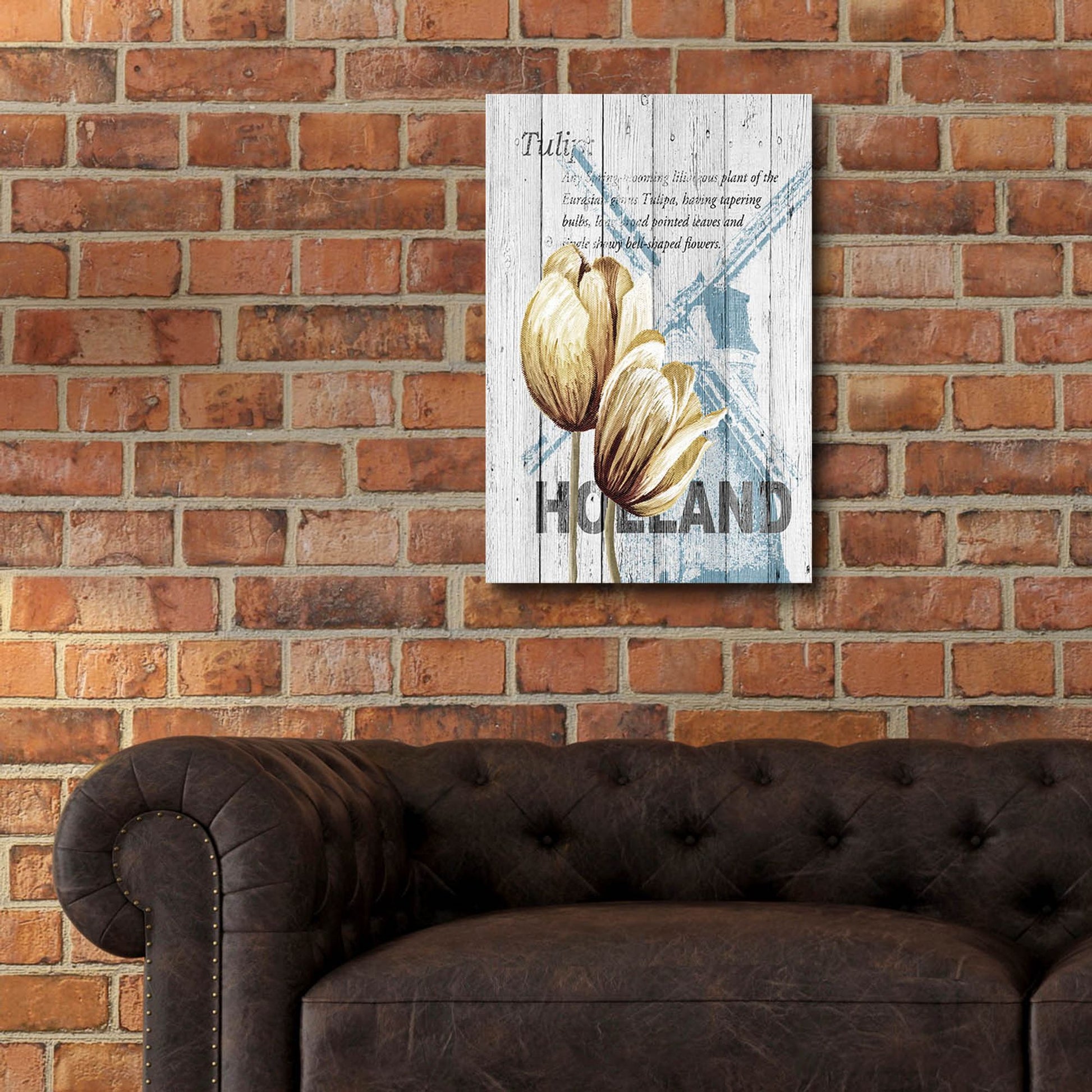 Epic Art ' Holland Tulips' by Alicia Soave, Acrylic Glass Wall Art,16x24