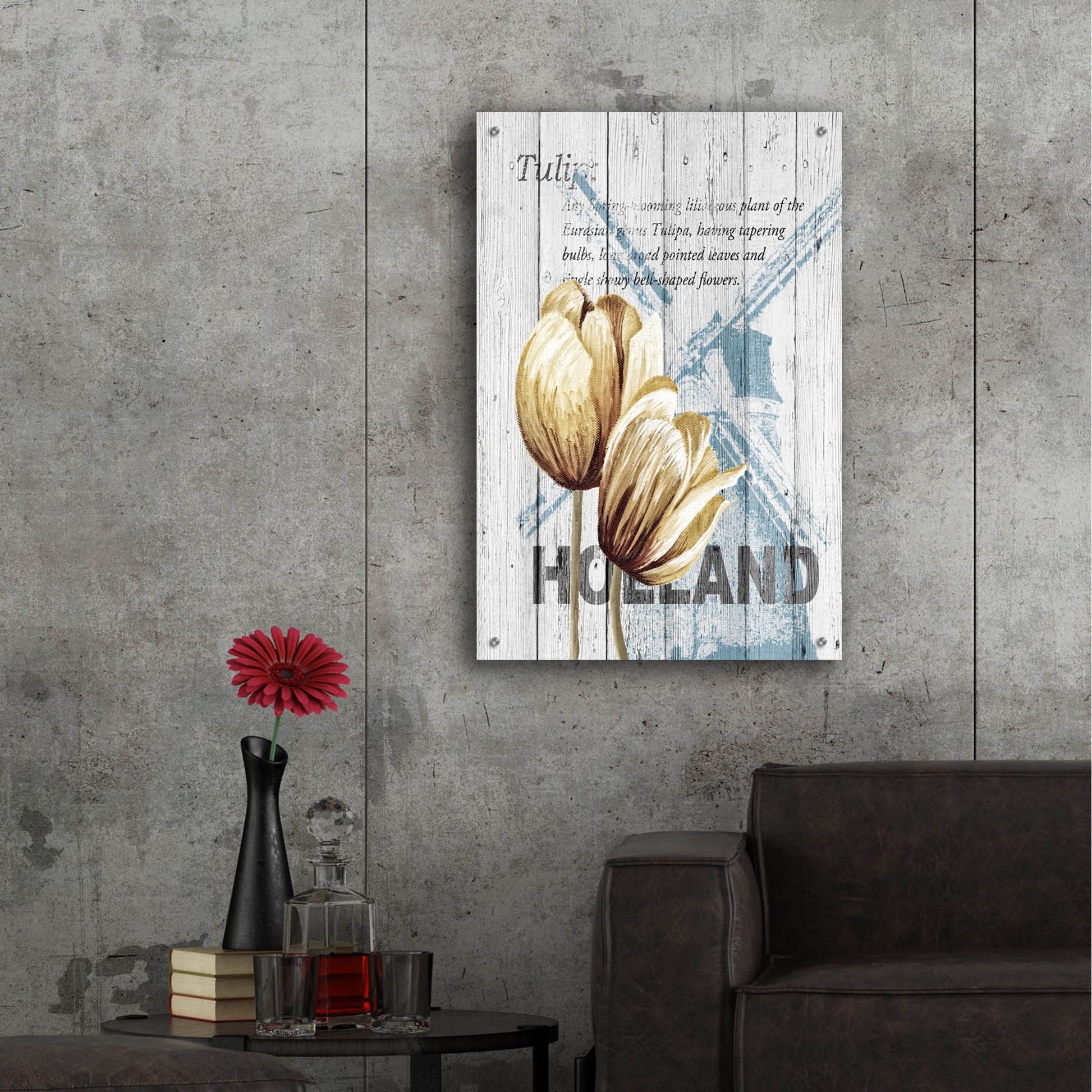 Epic Art ' Holland Tulips' by Alicia Soave, Acrylic Glass Wall Art,24x36