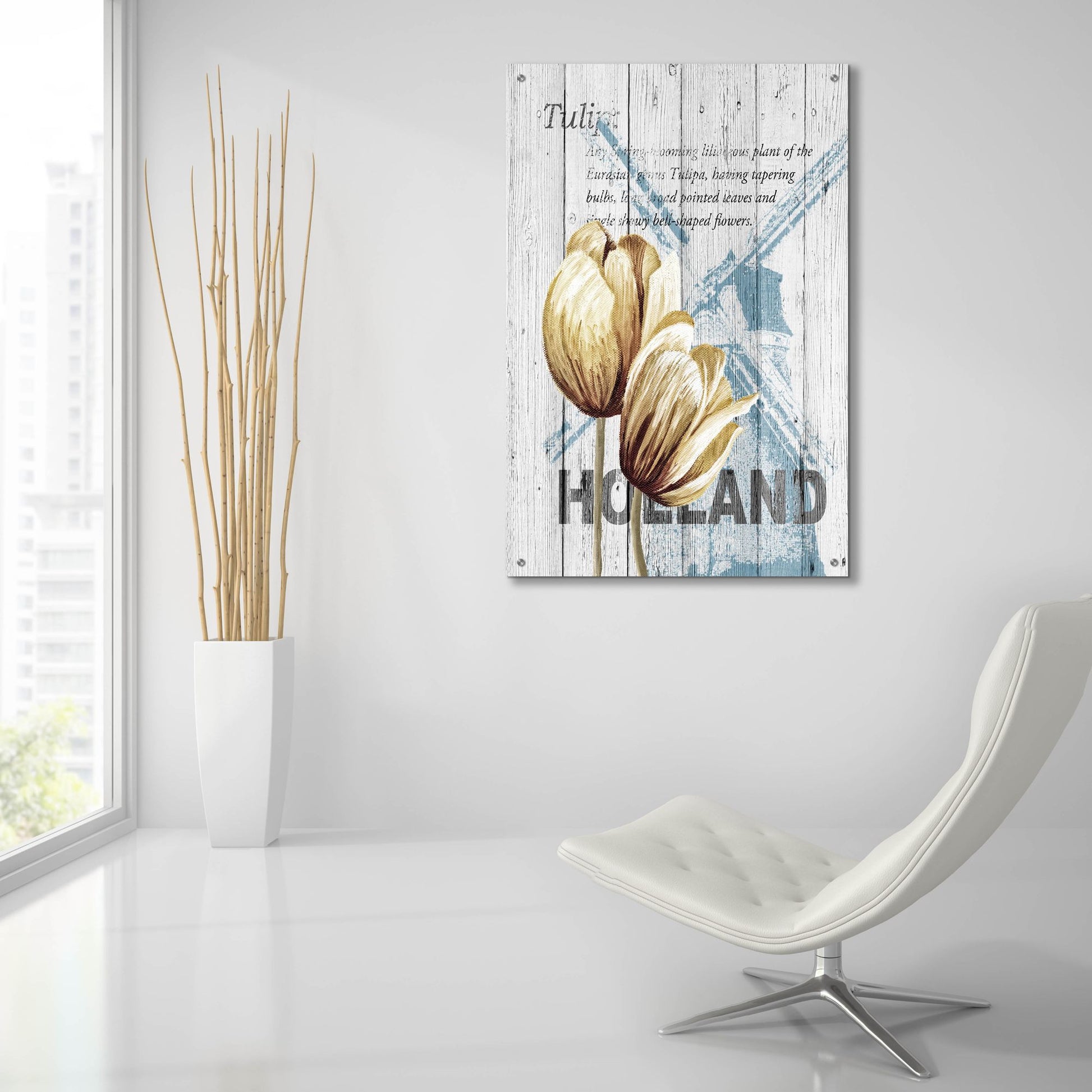 Epic Art ' Holland Tulips' by Alicia Soave, Acrylic Glass Wall Art,24x36