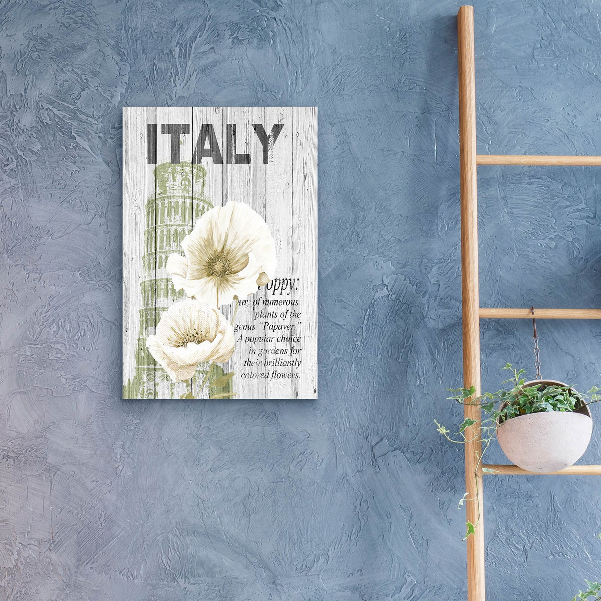 Epic Art ' Italy Poppies' by Alicia Soave, Acrylic Glass Wall Art,16x24