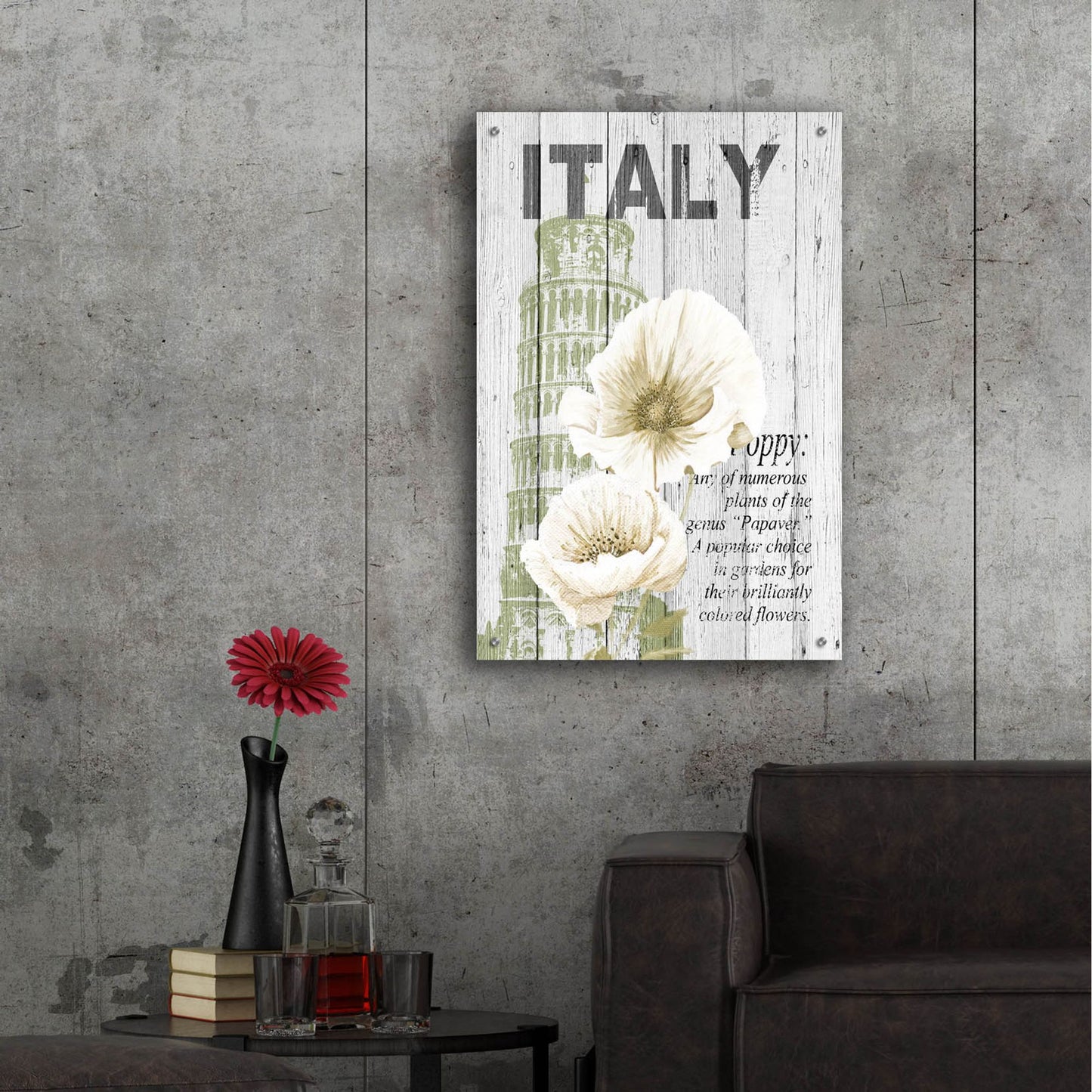 Epic Art ' Italy Poppies' by Alicia Soave, Acrylic Glass Wall Art,24x36