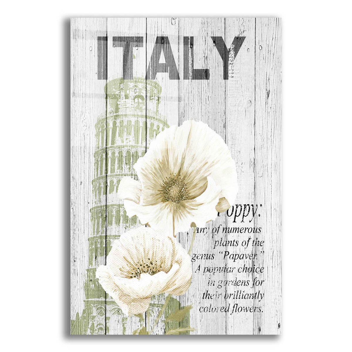 Epic Art ' Italy Poppies' by Alicia Soave, Acrylic Glass Wall Art
