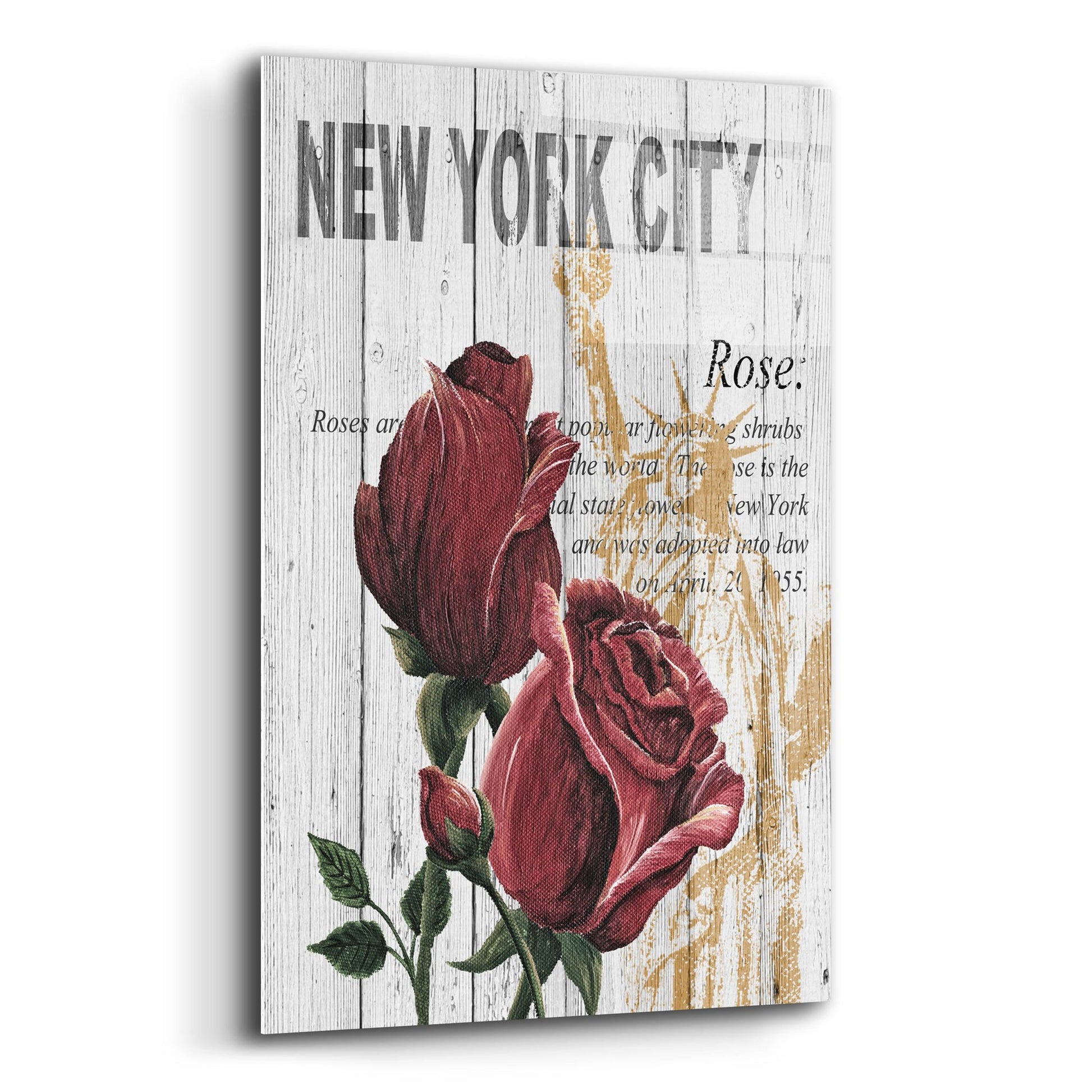 Epic Art ' New York Roses' by Alicia Soave, Acrylic Glass Wall Art,12x16