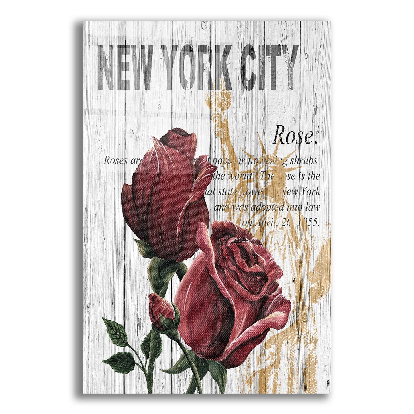 Epic Art ' New York Roses' by Alicia Soave, Acrylic Glass Wall Art,12x16