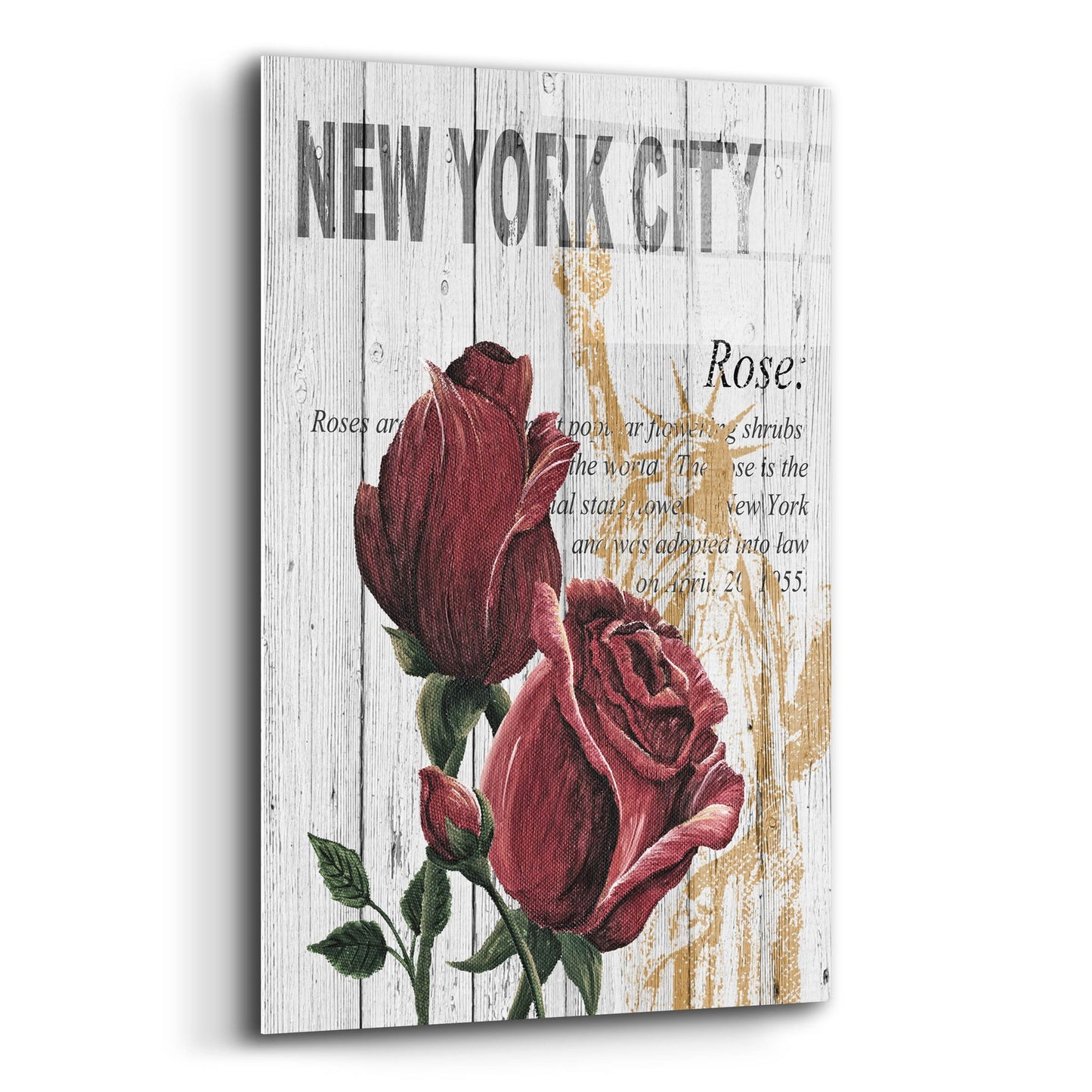 Epic Art ' New York Roses' by Alicia Soave, Acrylic Glass Wall Art,16x24