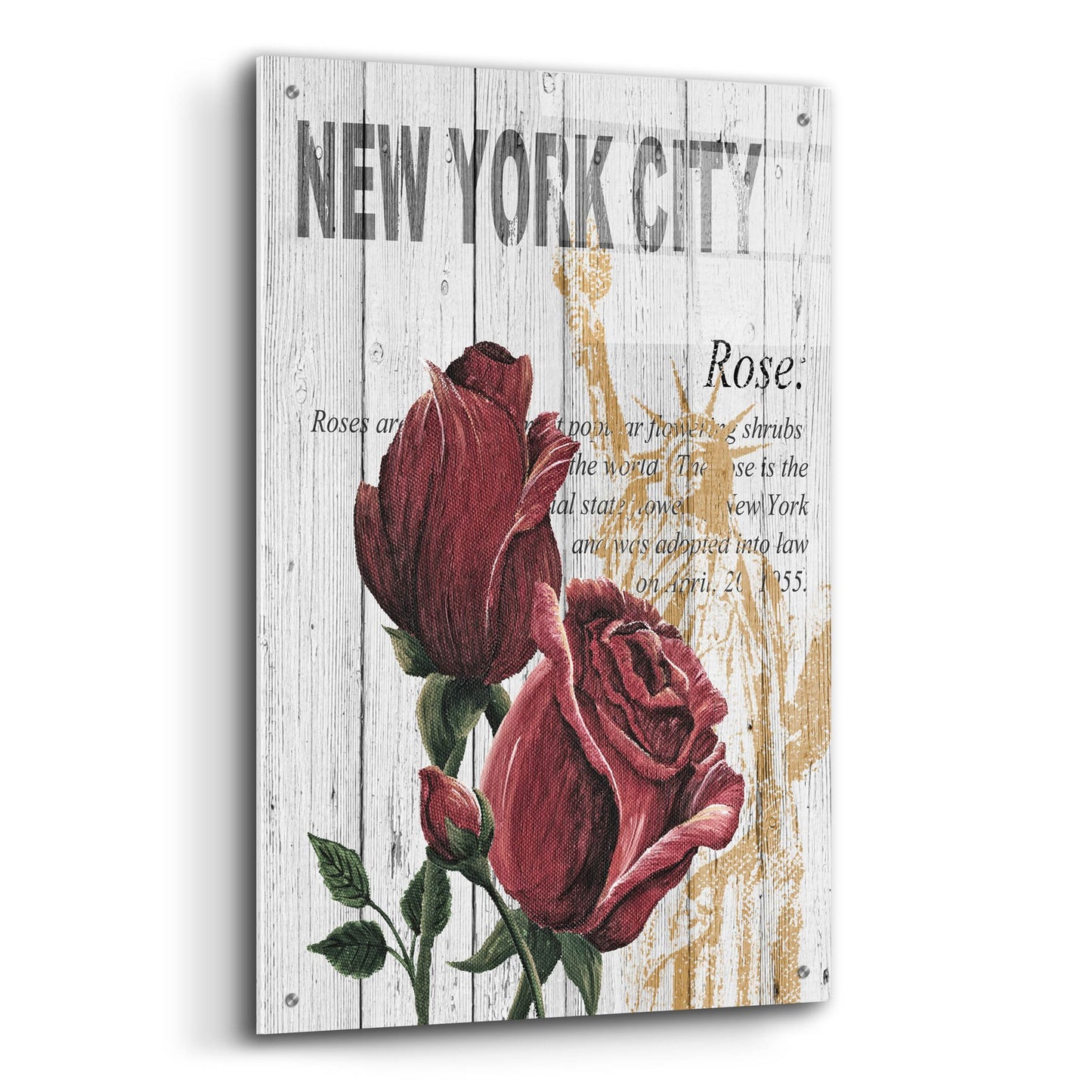 Epic Art ' New York Roses' by Alicia Soave, Acrylic Glass Wall Art,24x36