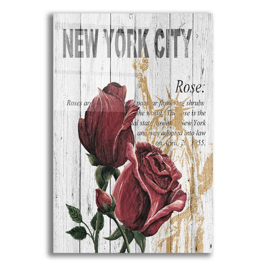 Epic Art ' New York Roses' by Alicia Soave, Acrylic Glass Wall Art