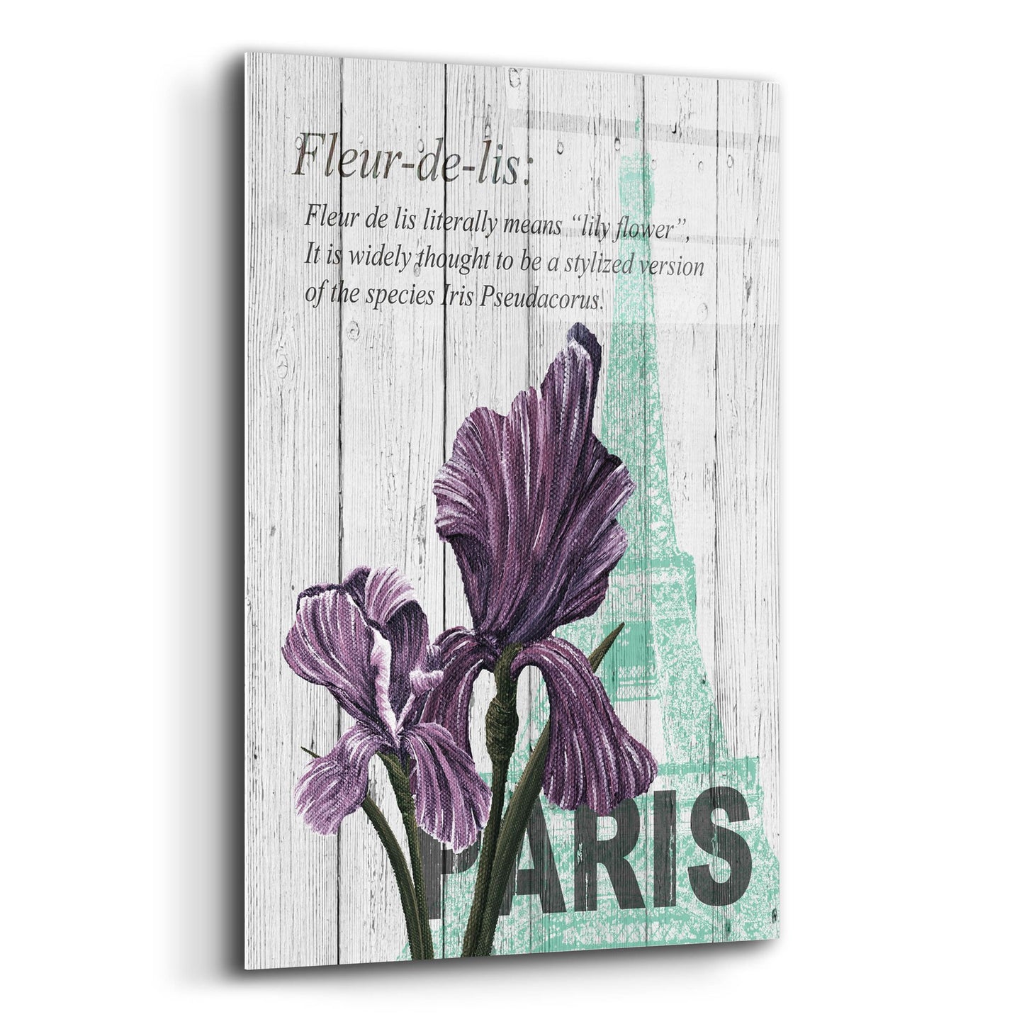 Epic Art ' Paris Iris' by Alicia Soave, Acrylic Glass Wall Art,12x16