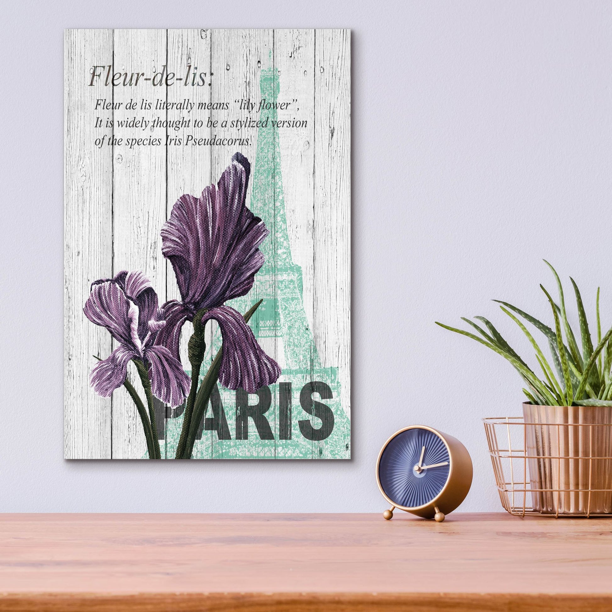 Epic Art ' Paris Iris' by Alicia Soave, Acrylic Glass Wall Art,12x16