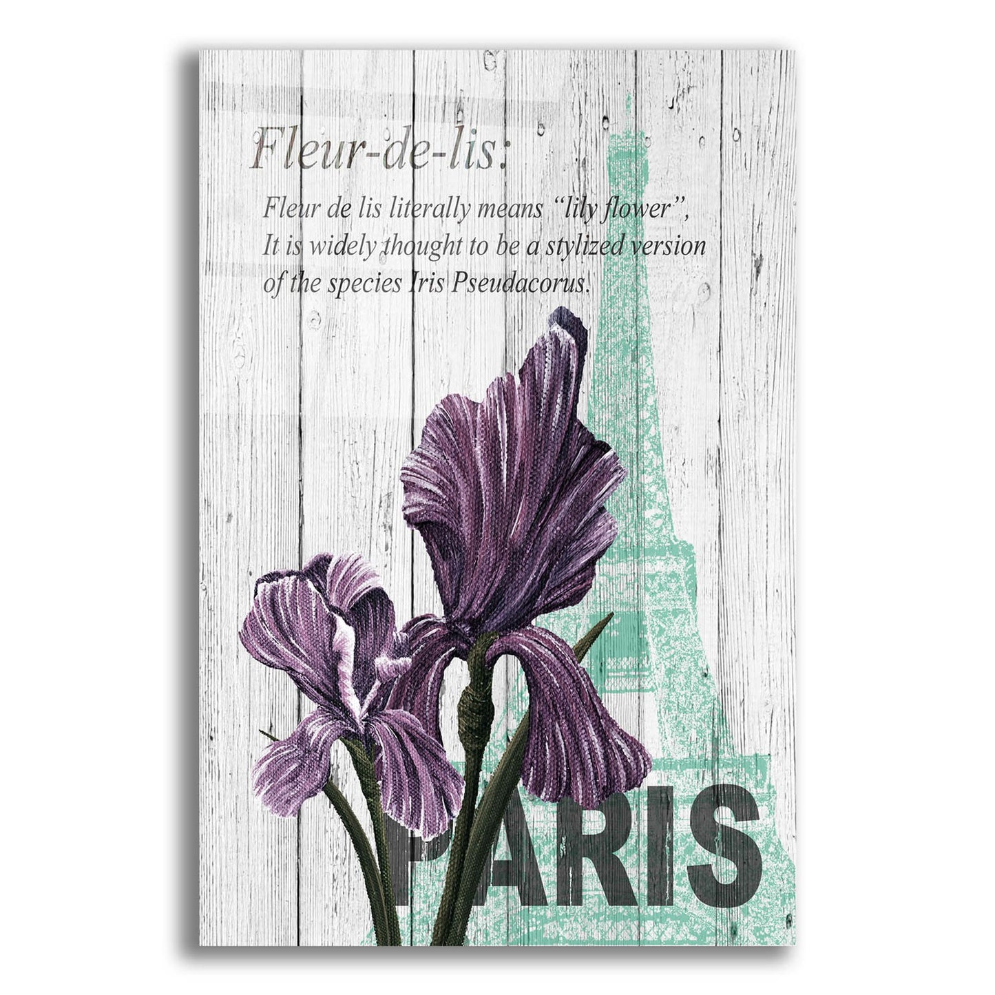 Epic Art ' Paris Iris' by Alicia Soave, Acrylic Glass Wall Art,12x16