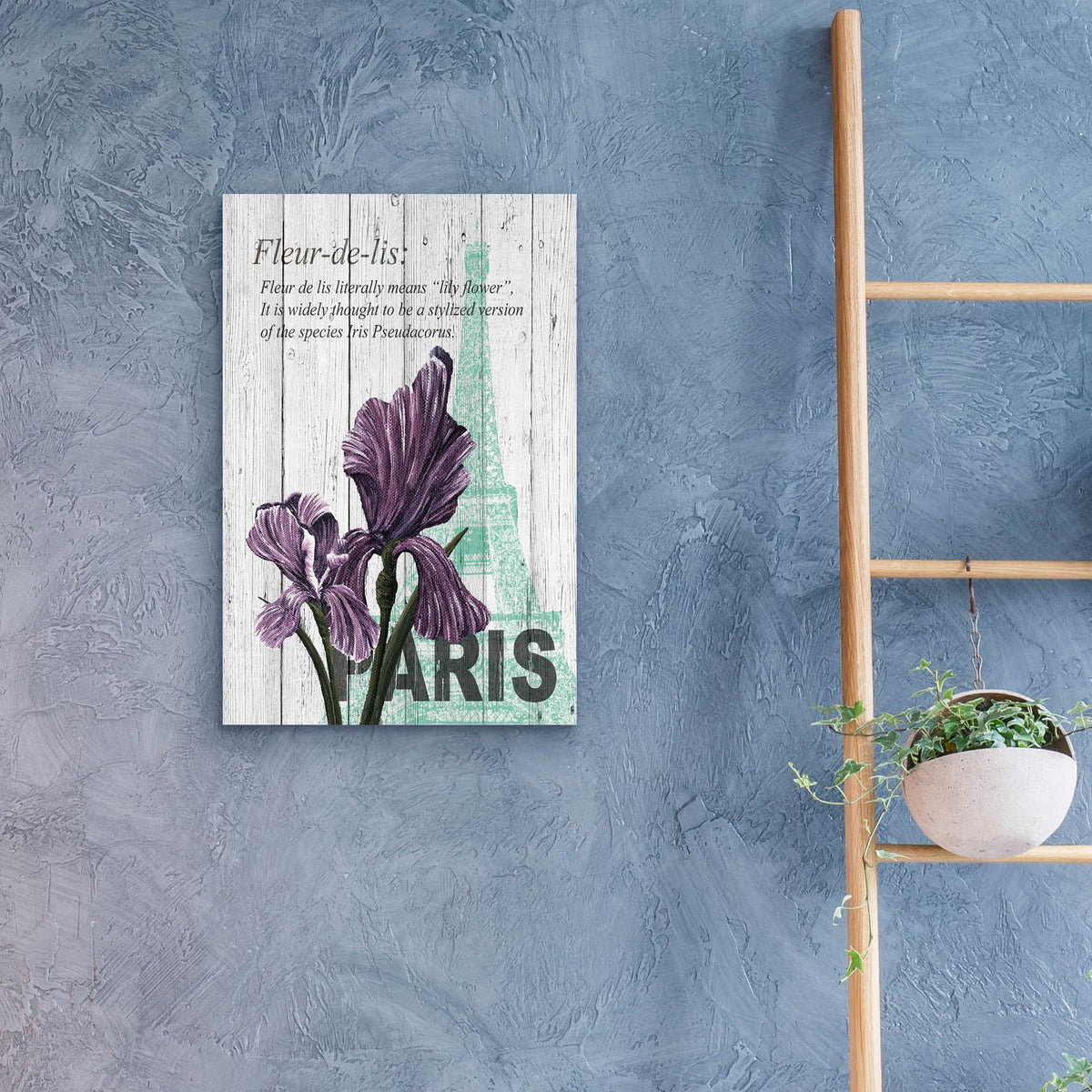 Paris Iris by Alicia Soave - 16x24 acrylic wall art in a room
