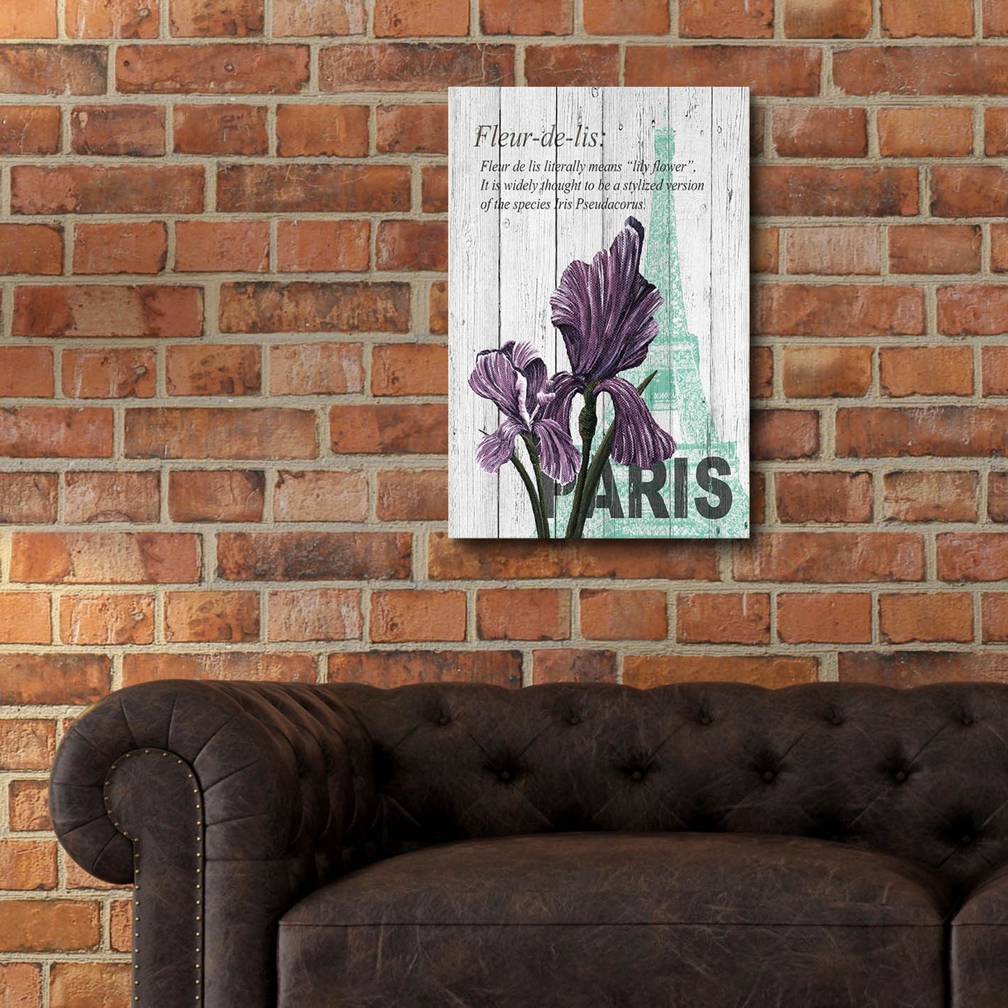 Epic Art ' Paris Iris' by Alicia Soave, Acrylic Glass Wall Art,16x24