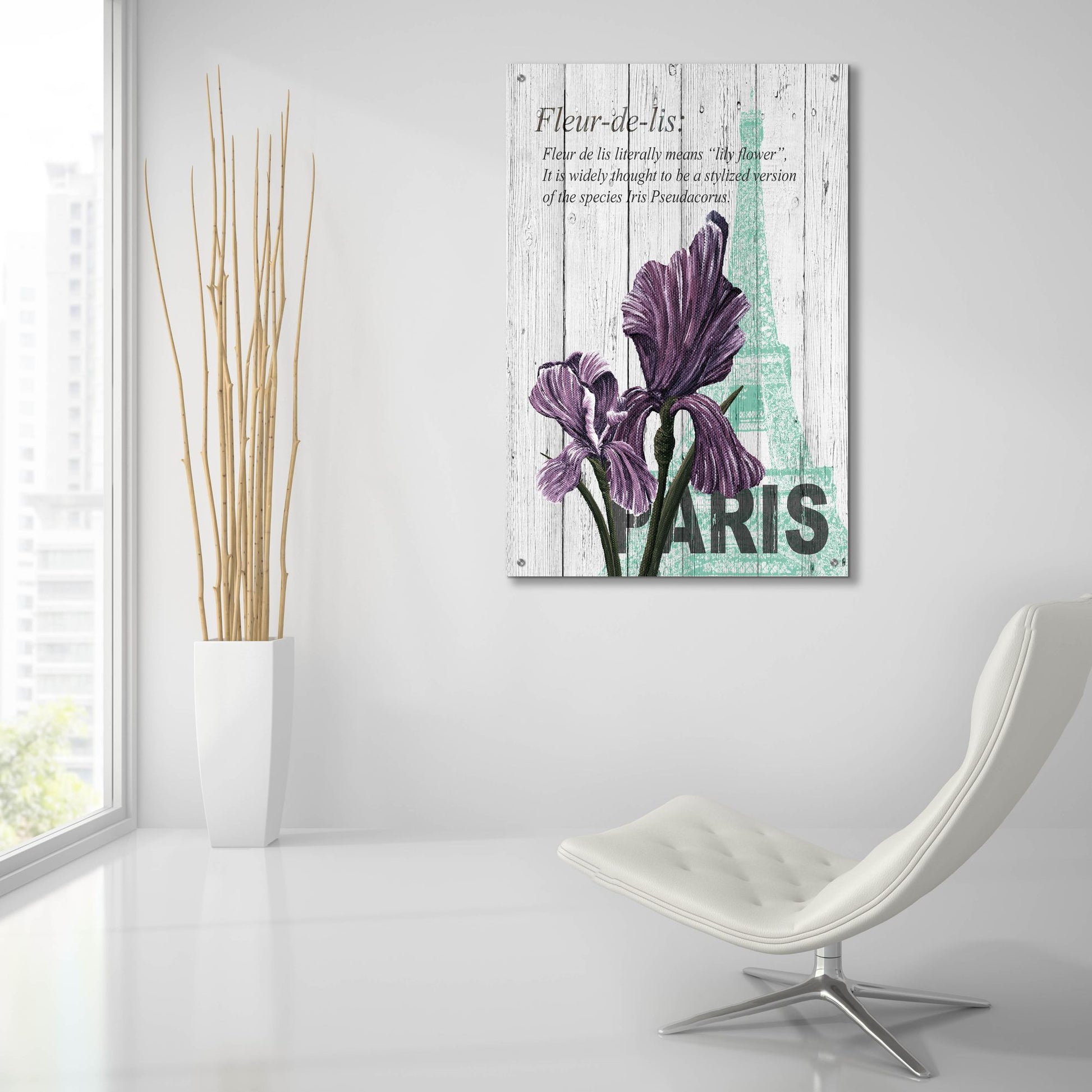 Epic Art ' Paris Iris' by Alicia Soave, Acrylic Glass Wall Art,24x36