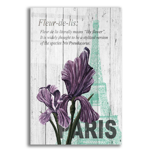 Epic Art ' Paris Iris' by Alicia Soave, Acrylic Glass Wall Art