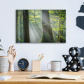 Shower of Light by Anne Schneidersmann - 16x12 acrylic wall art in a room