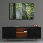 Shower of Light by Anne Schneidersmann - 36x24 acrylic wall art in a room