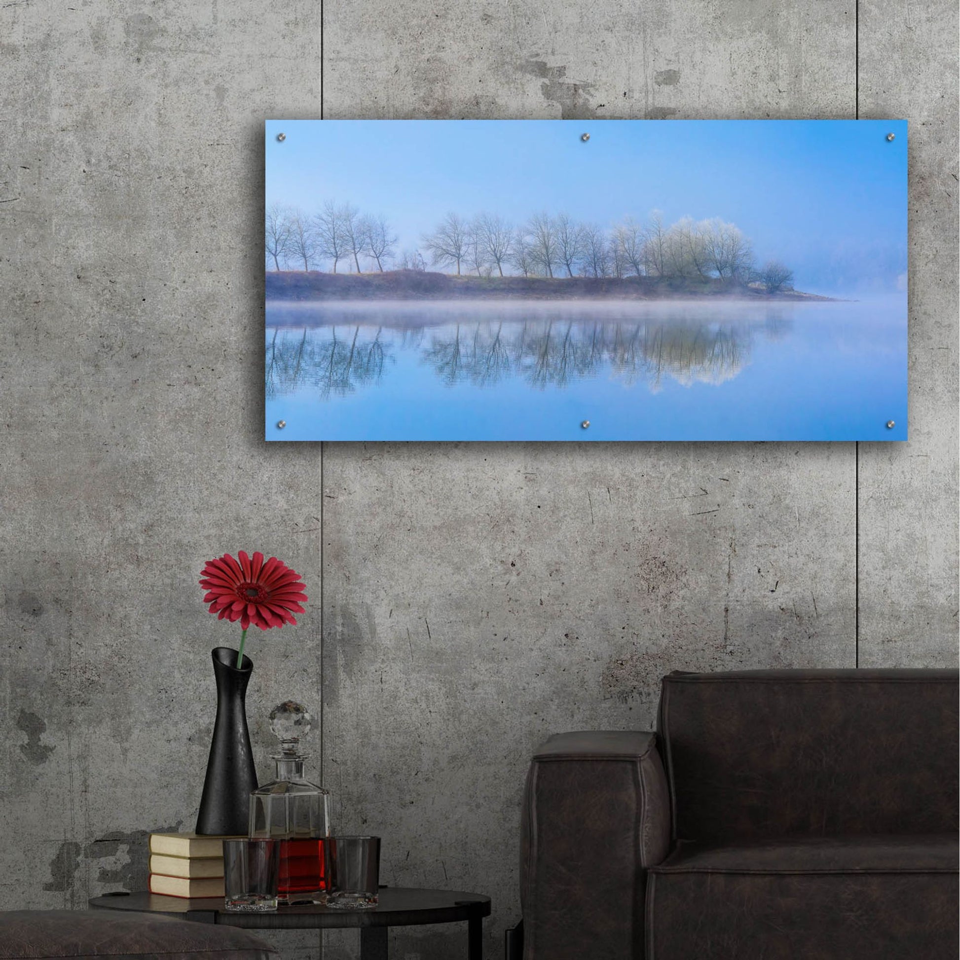 Epic Art ' Peace of Mind' by Anne Schneidersmann, Acrylic Glass Wall Art,48x24