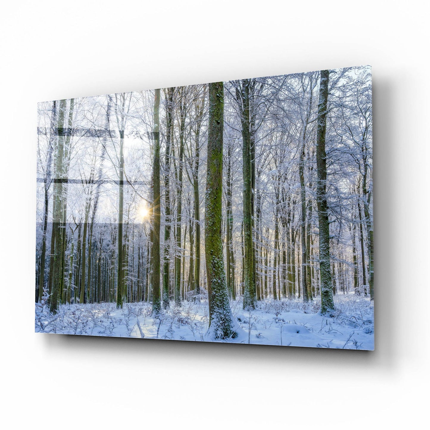 Epic Art ' Frosty Forest' by Anne Schneidersmann, Acrylic Glass Wall Art,16x12