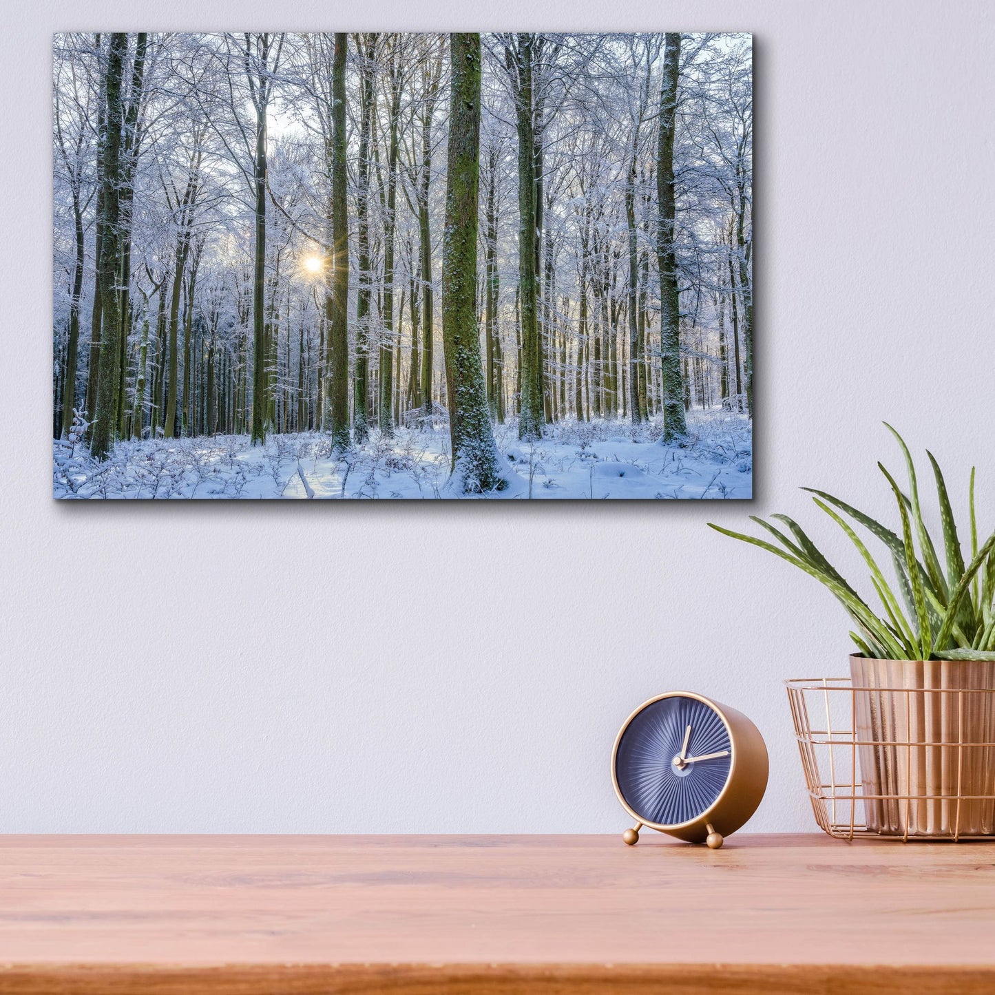 Epic Art ' Frosty Forest' by Anne Schneidersmann, Acrylic Glass Wall Art,16x12