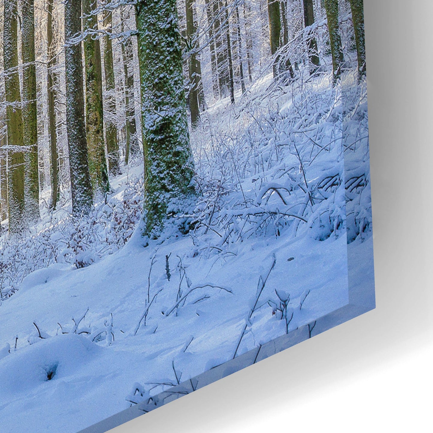 Epic Art ' Frosty Forest' by Anne Schneidersmann, Acrylic Glass Wall Art,24x16