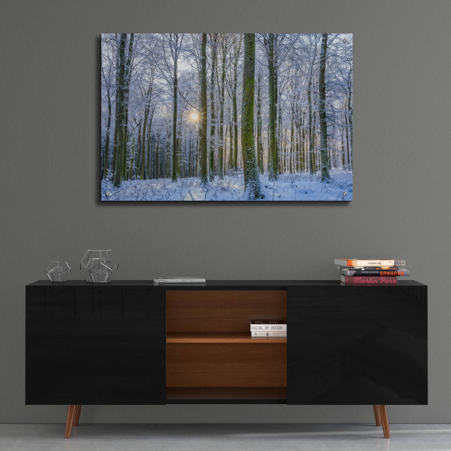 Epic Art ' Frosty Forest' by Anne Schneidersmann, Acrylic Glass Wall Art,36x24