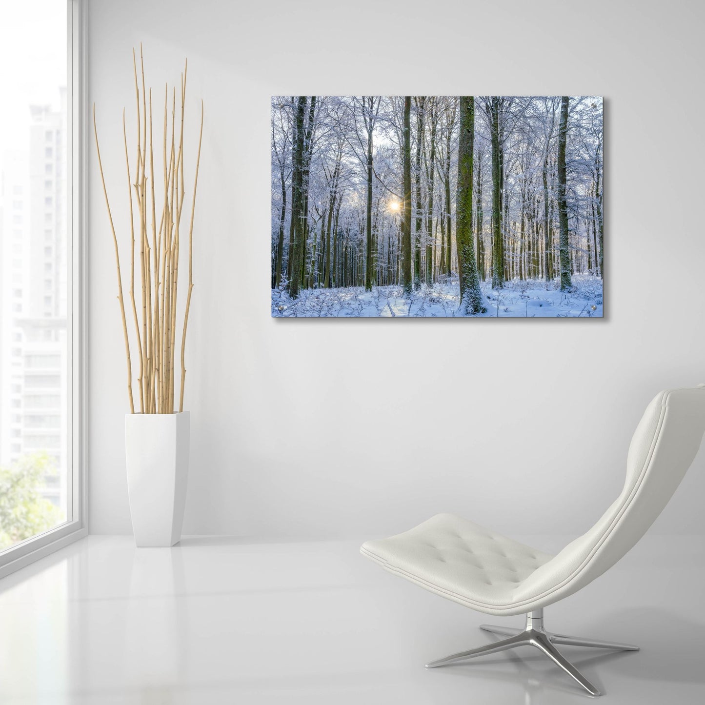 Epic Art ' Frosty Forest' by Anne Schneidersmann, Acrylic Glass Wall Art,36x24