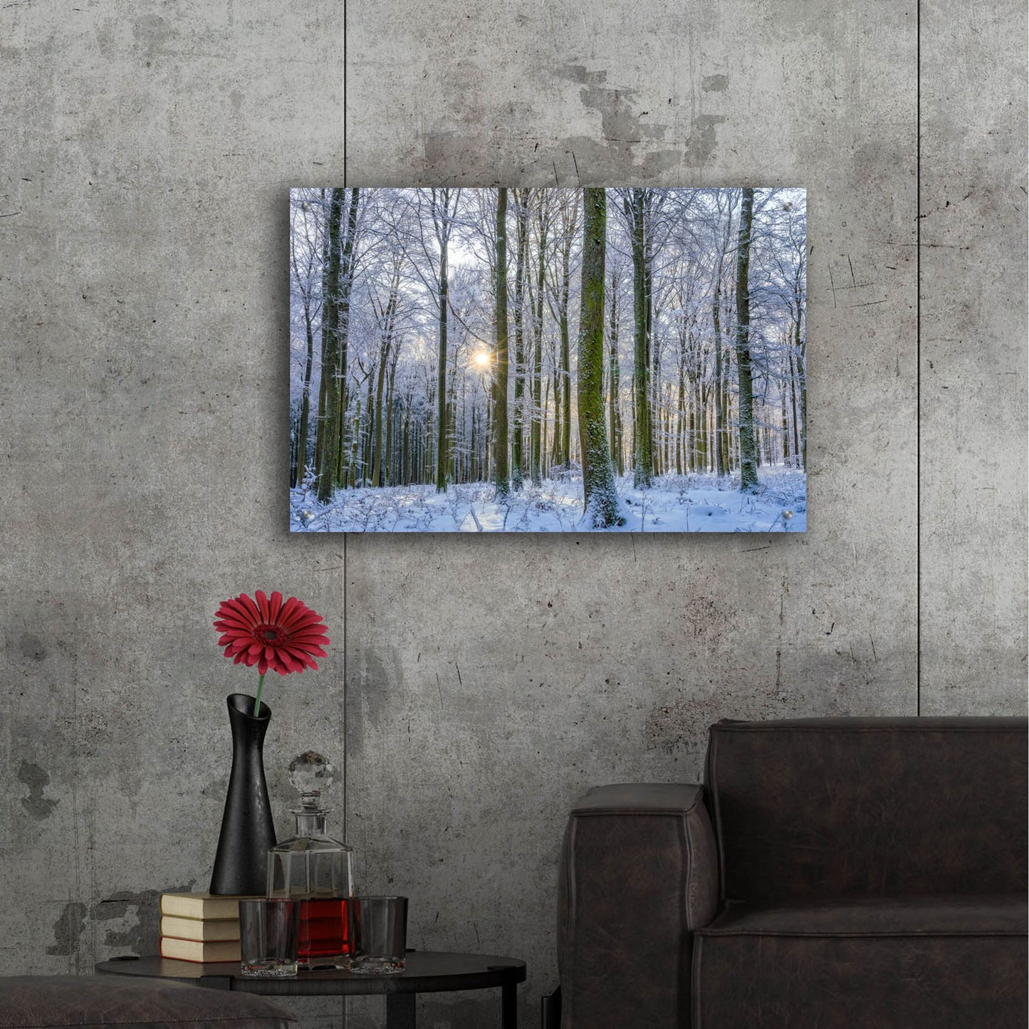 Epic Art ' Frosty Forest' by Anne Schneidersmann, Acrylic Glass Wall Art,36x24