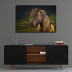Epic Art ' Born To Be Wild' by Anne Schneidersmann, Acrylic Glass Wall Art,36x24
