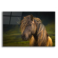 Epic Art ' Born To Be Wild' by Anne Schneidersmann, Acrylic Glass Wall Art