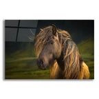 Epic Art ' Born To Be Wild' by Anne Schneidersmann, Acrylic Glass Wall Art