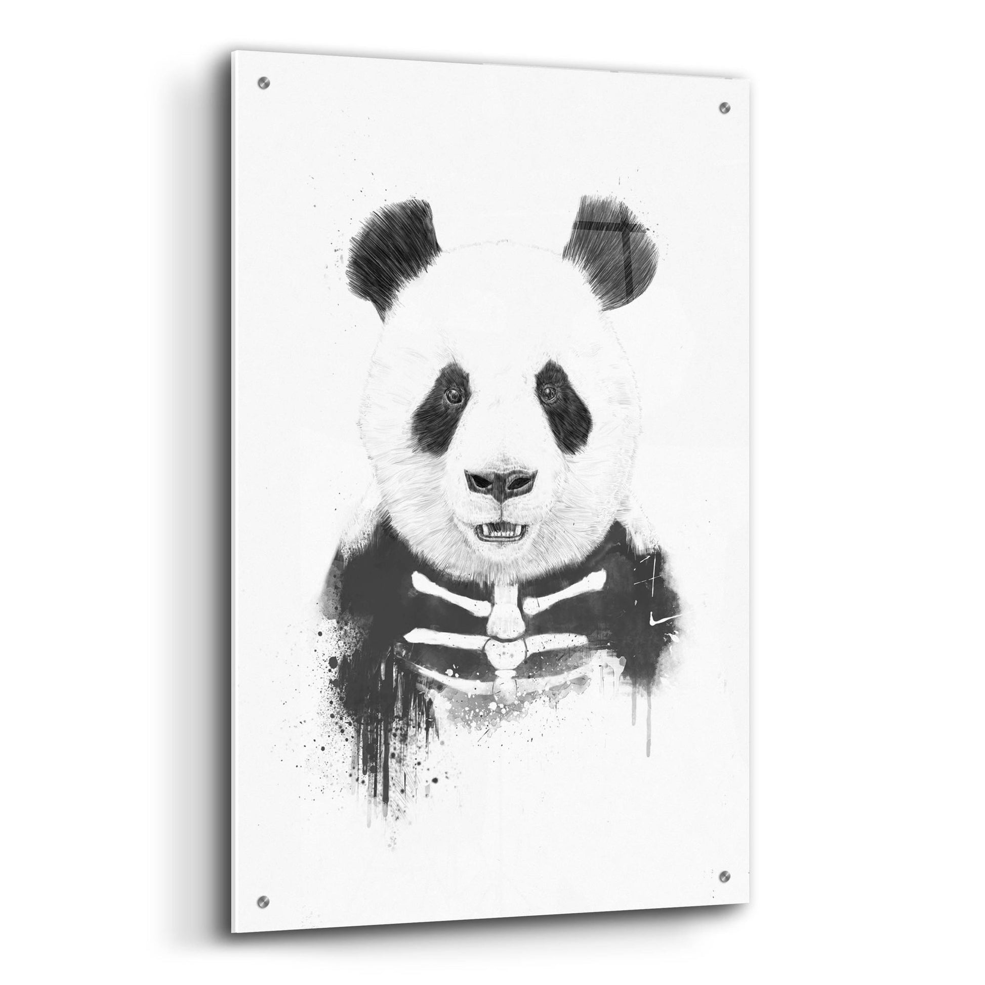 Epic Art ' Zombie Panda' by Emma Styles, Acrylic Glass Wall Art,24x36