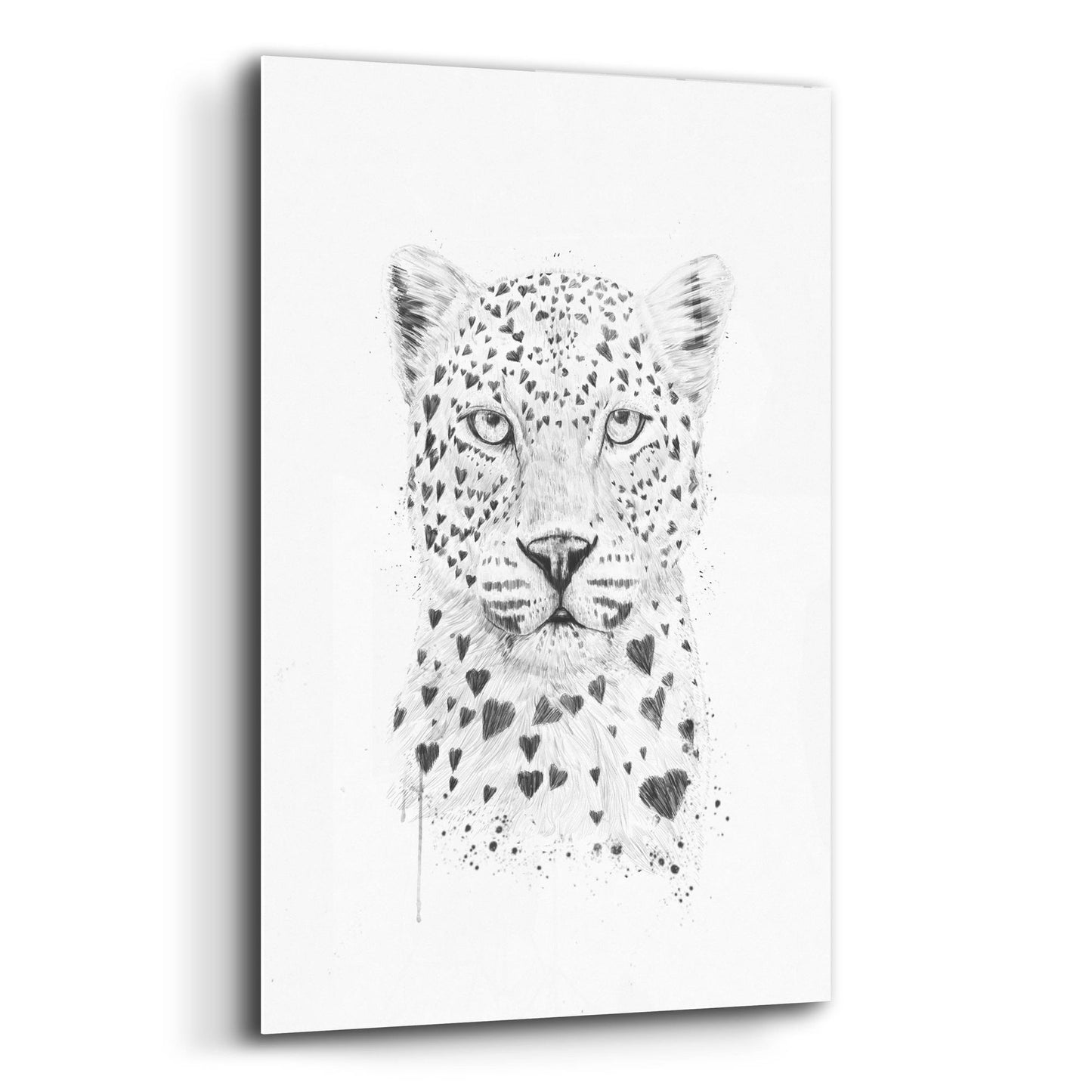 Epic Art ' Lovely Leopard' by Balazs Solti, Acrylic Glass Wall Art,12x16