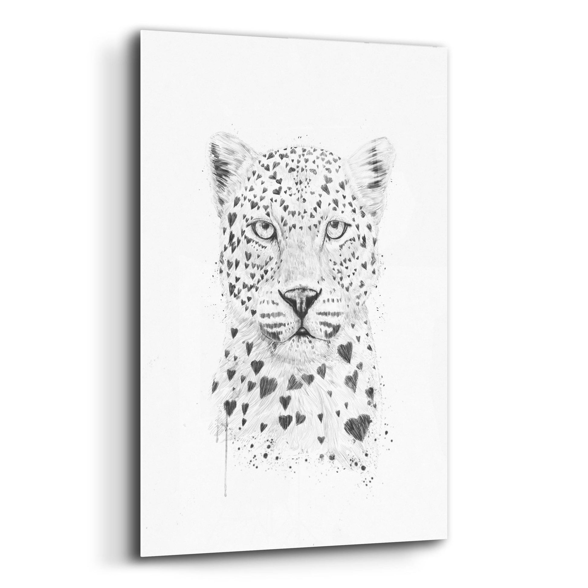 Epic Art ' Lovely Leopard' by Balazs Solti, Acrylic Glass Wall Art,12x16