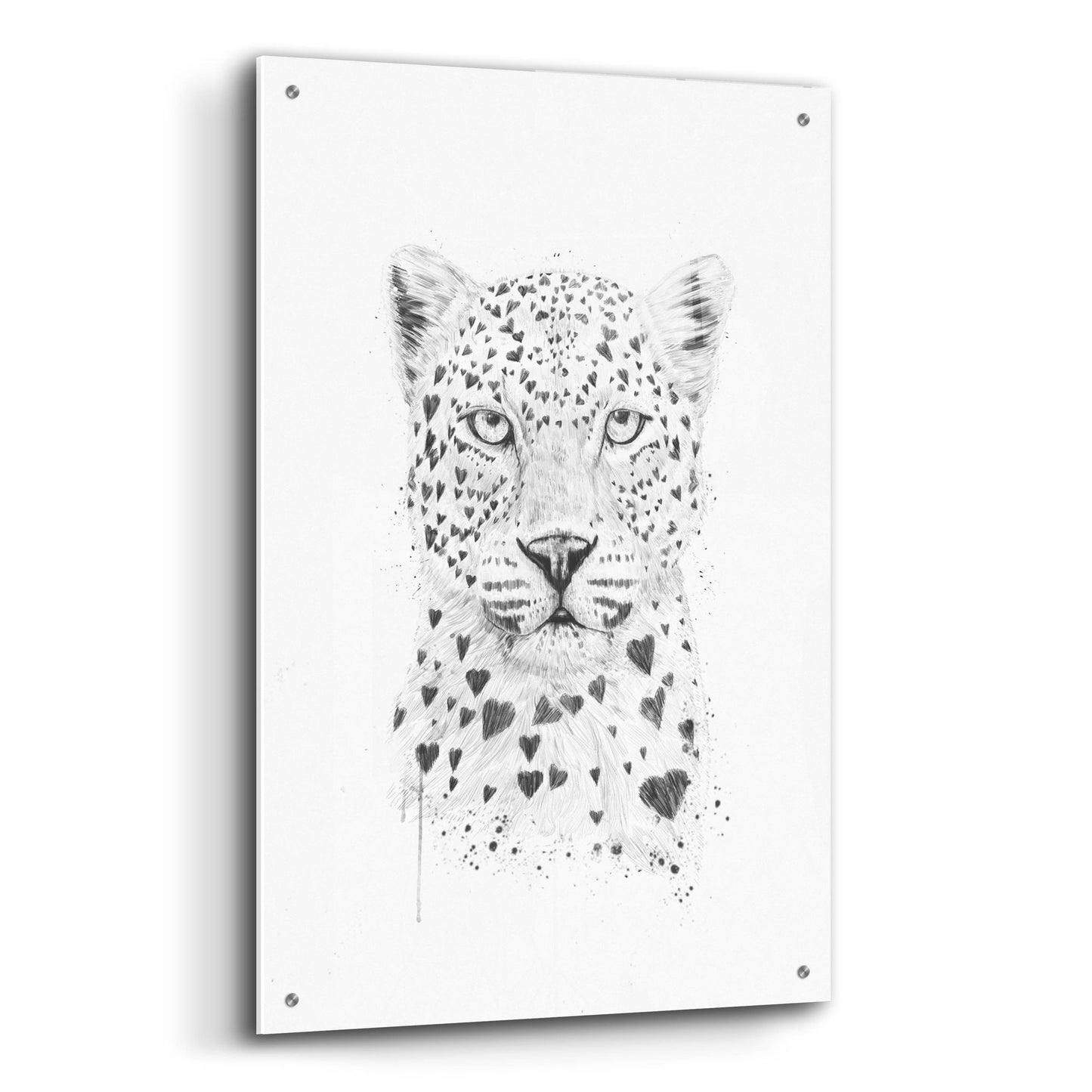 Epic Art ' Lovely Leopard' by Balazs Solti, Acrylic Glass Wall Art,24x36