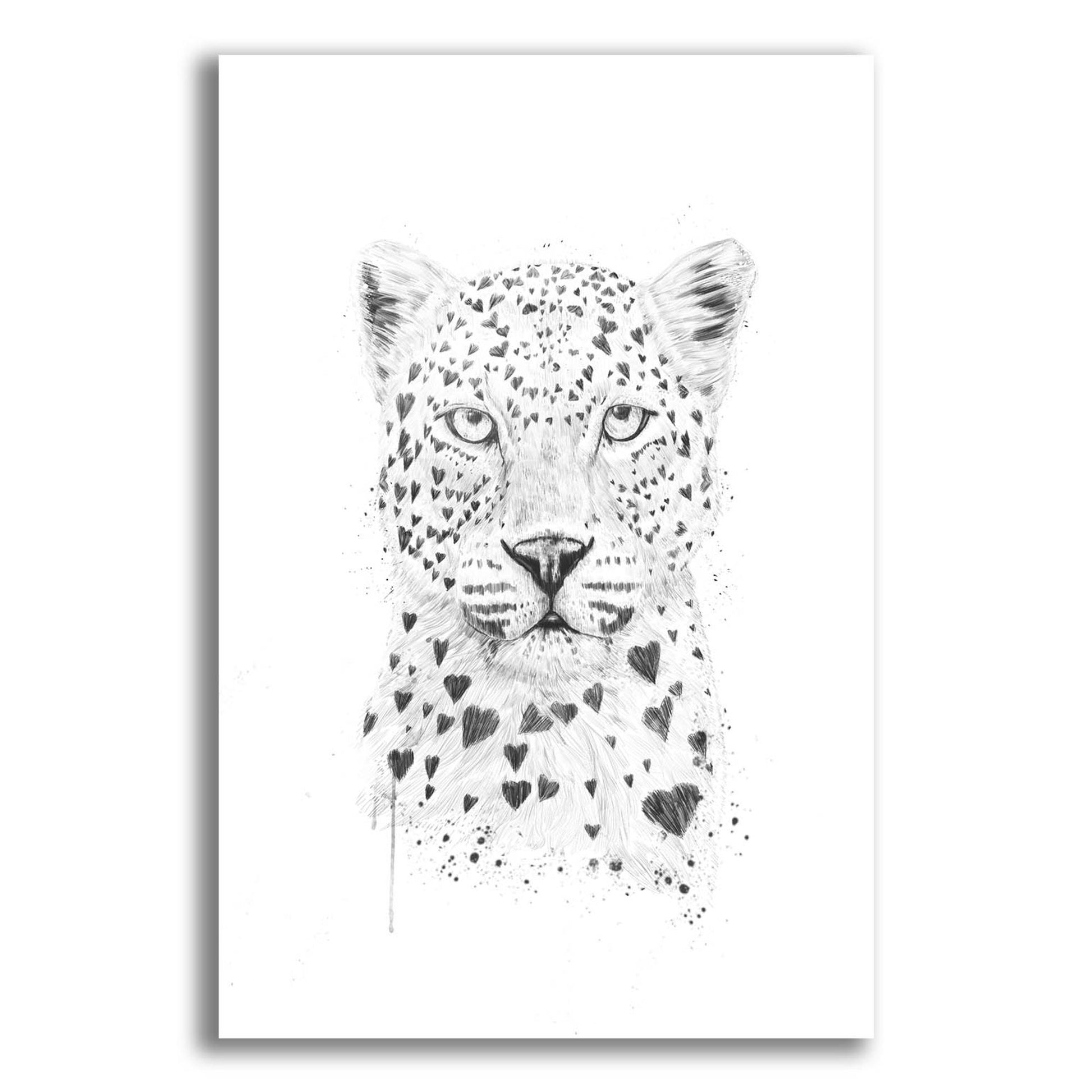 Epic Art ' Lovely Leopard' by Balazs Solti, Acrylic Glass Wall Art