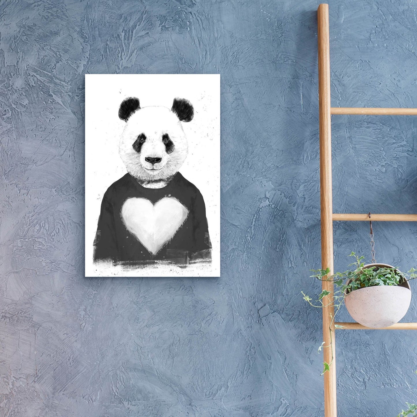 Epic Art ' Lovely Panda' by Balazs Solti, Acrylic Glass Wall Art,16x24