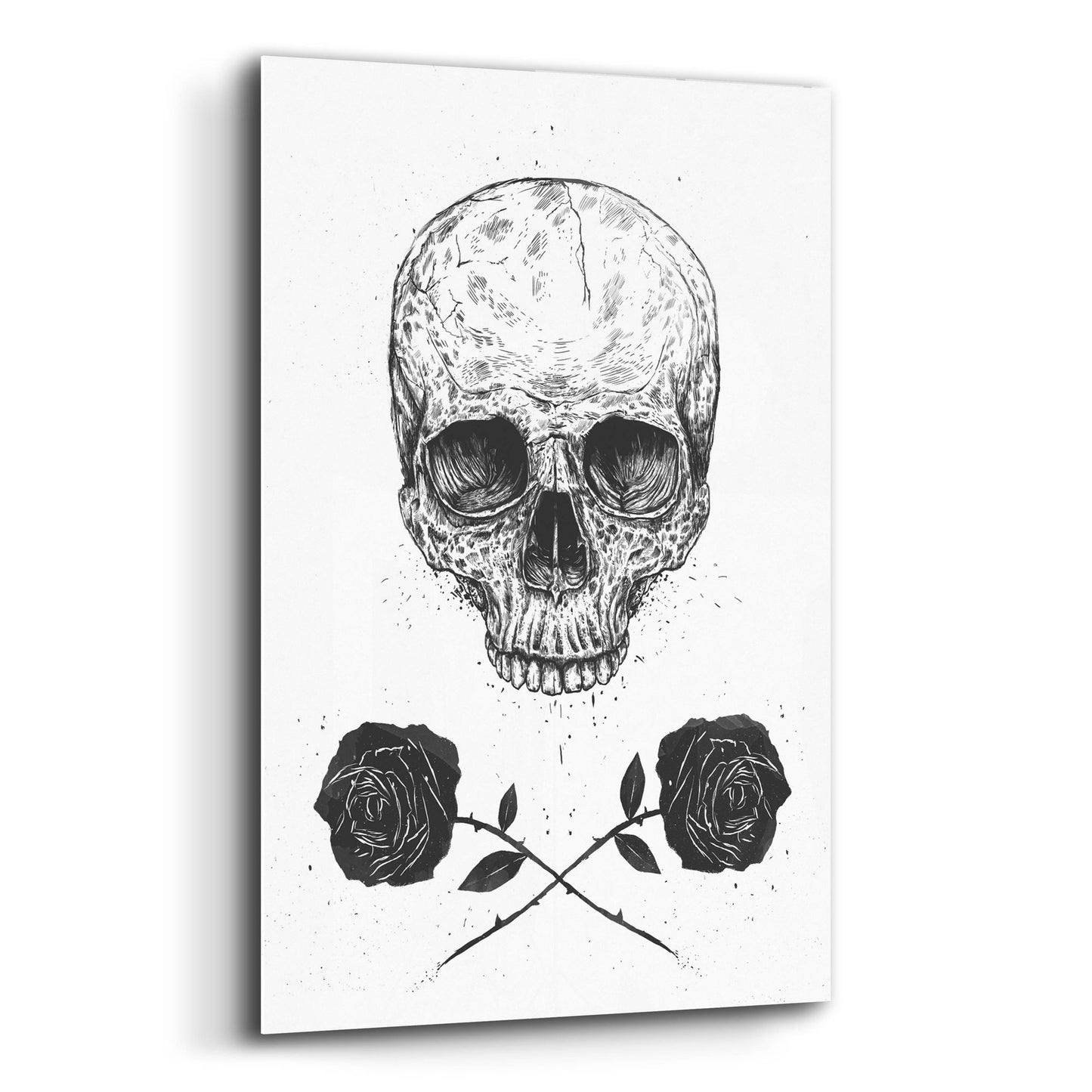 Epic Art ' Skull N Roses' by Balazs Solti, Acrylic Glass Wall Art,12x16