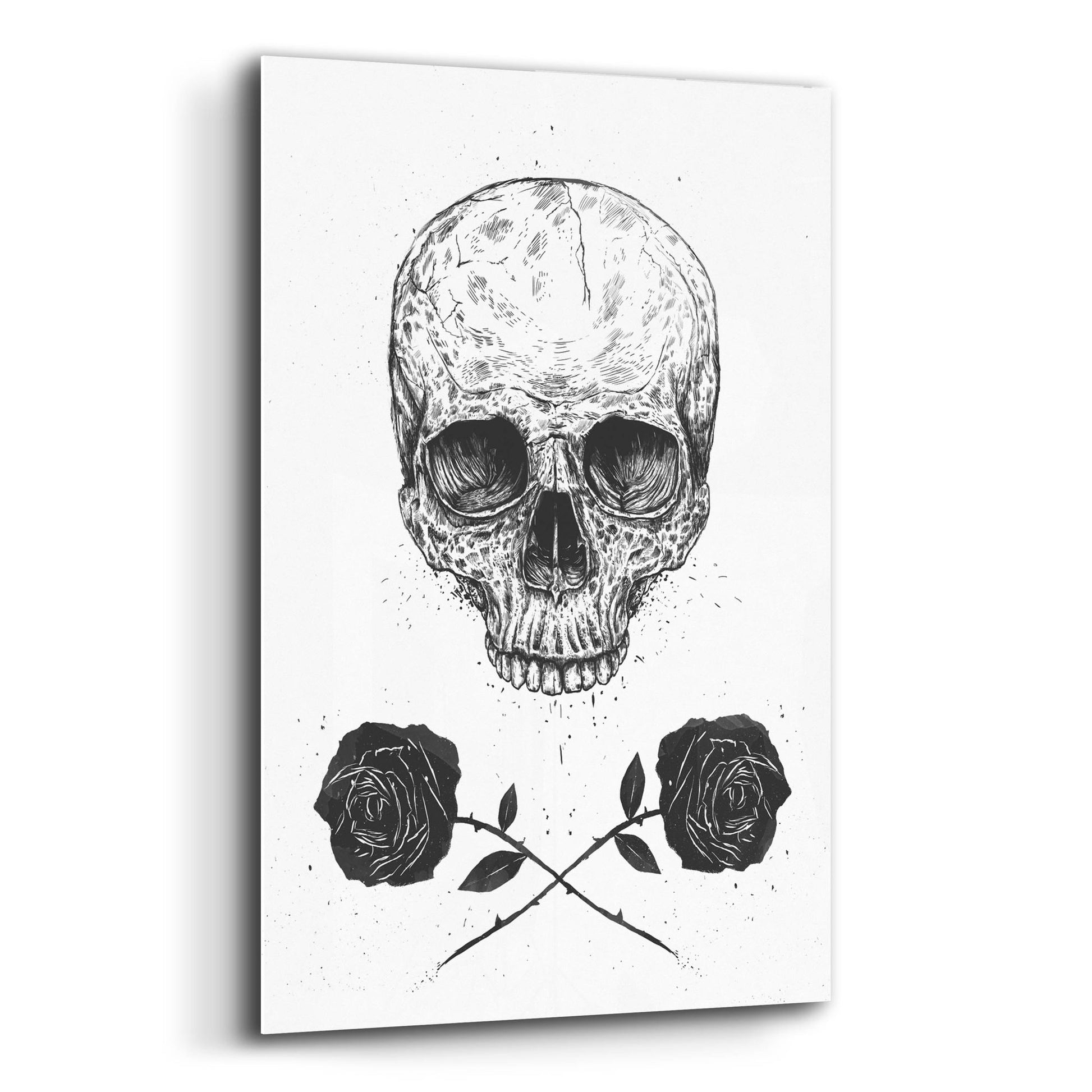 Epic Art ' Skull N Roses' by Balazs Solti, Acrylic Glass Wall Art,12x16