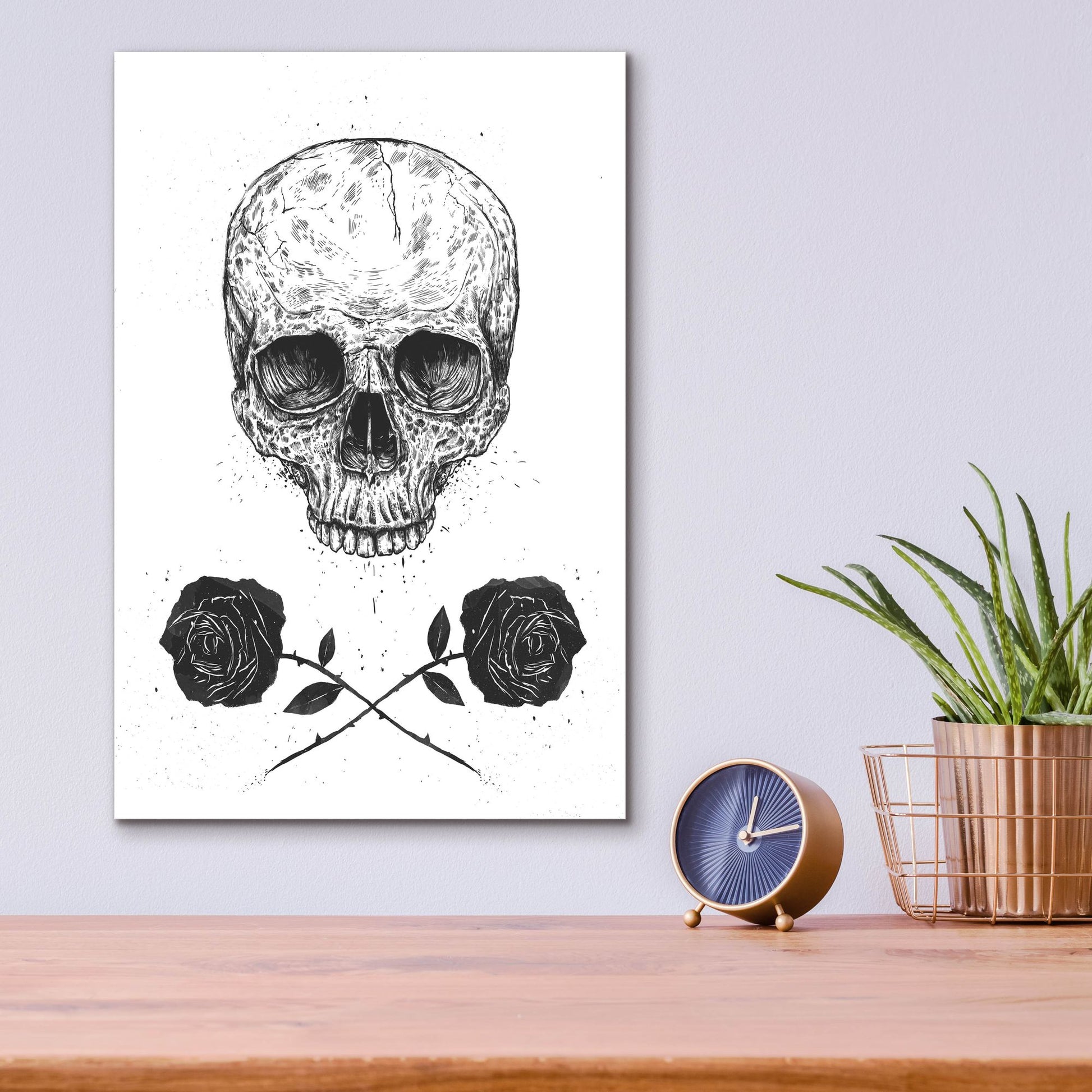 Epic Art ' Skull N Roses' by Balazs Solti, Acrylic Glass Wall Art,12x16