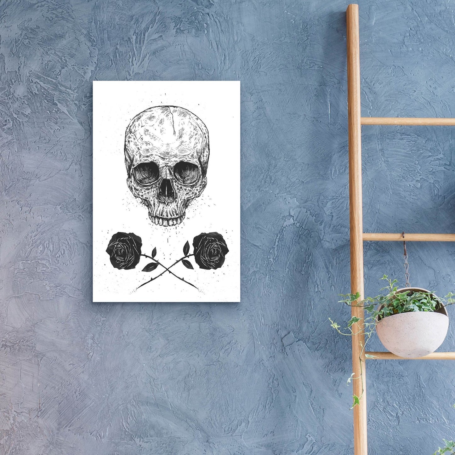 Epic Art ' Skull N Roses' by Balazs Solti, Acrylic Glass Wall Art,16x24