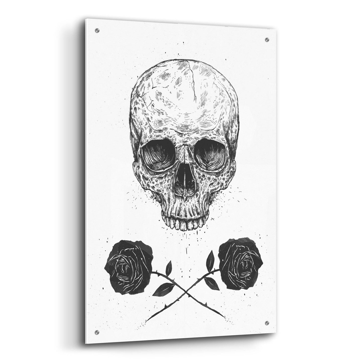 Epic Art ' Skull N Roses' by Balazs Solti, Acrylic Glass Wall Art,24x36