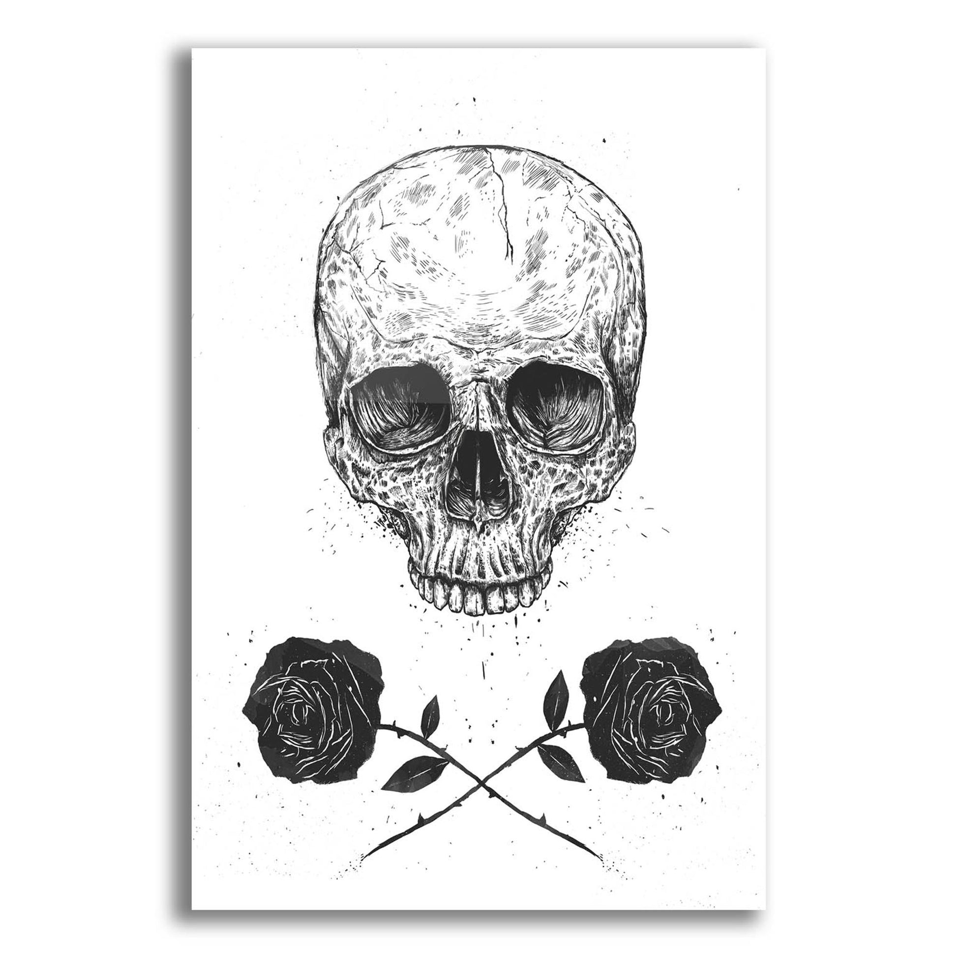 Epic Art ' Skull N Roses' by Balazs Solti, Acrylic Glass Wall Art