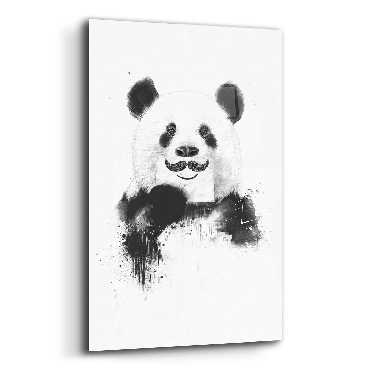 Epic Art ' Funny Panda' by Balazs Solti, Acrylic Glass Wall Art,12x16