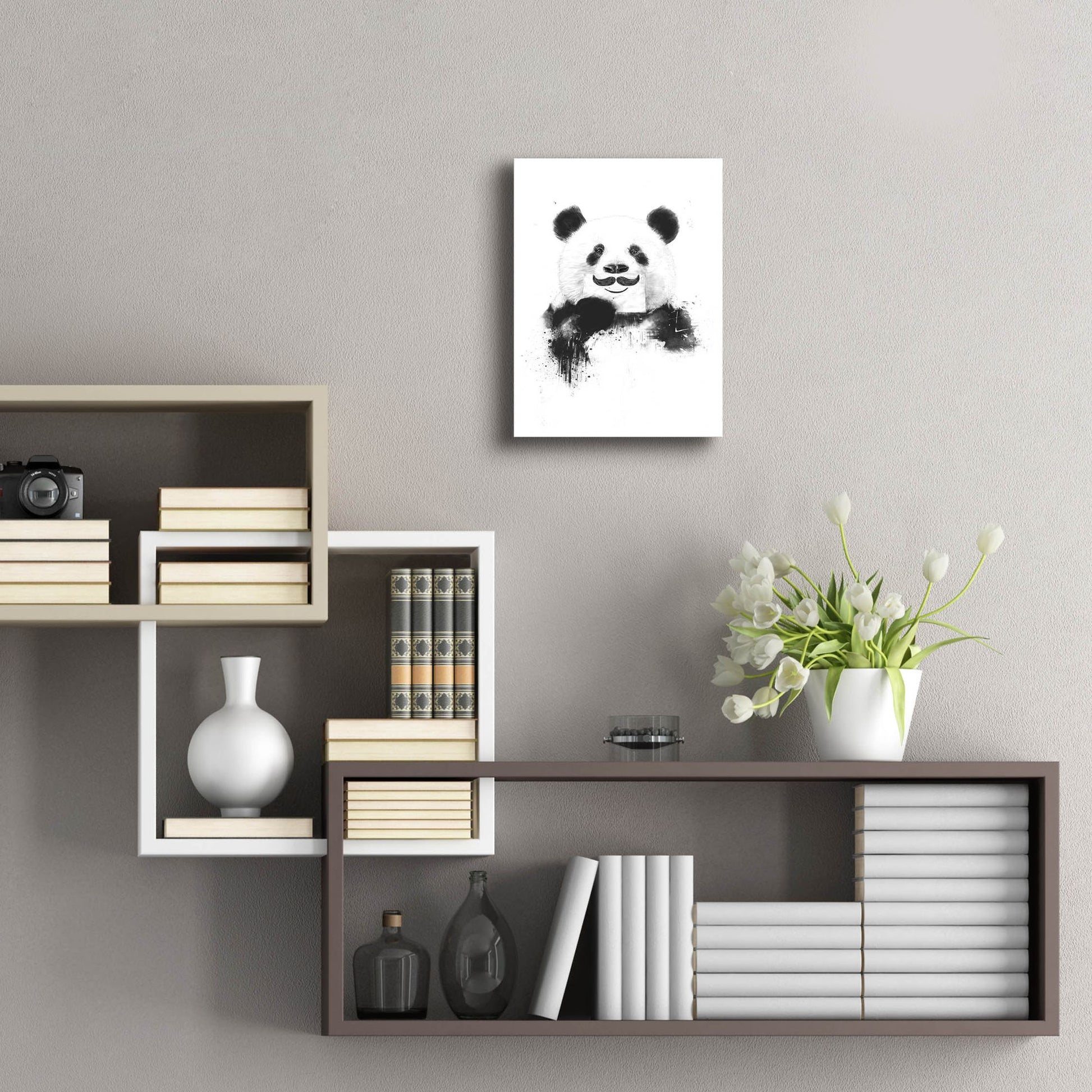 Epic Art ' Funny Panda' by Balazs Solti, Acrylic Glass Wall Art,12x16