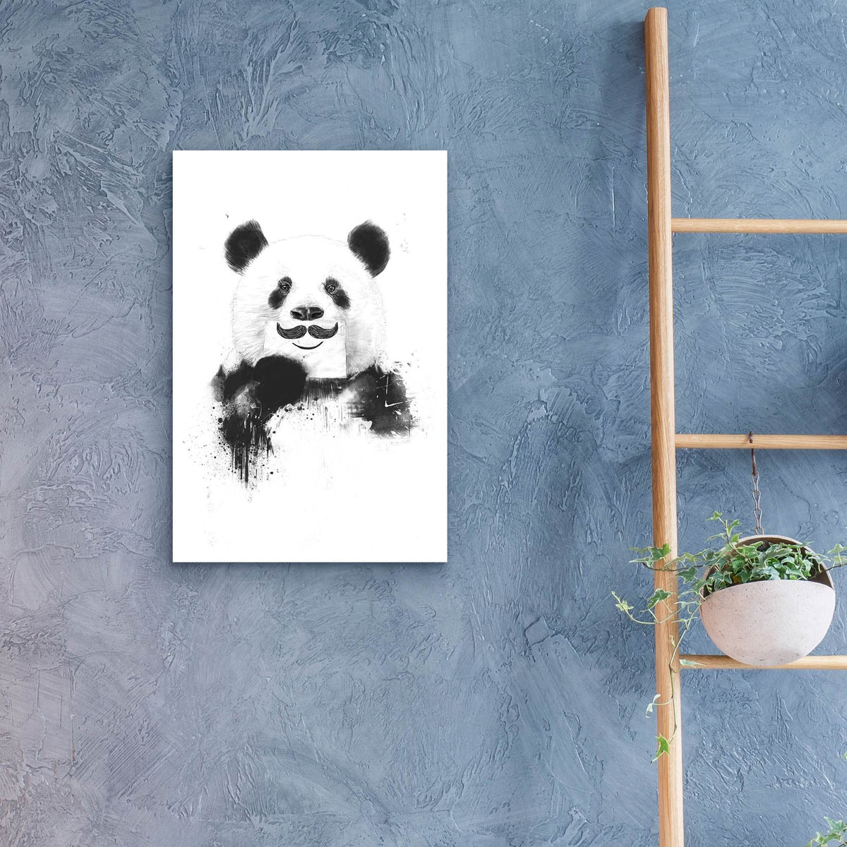 Funny Panda by Balazs Solti - 16x24 acrylic wall art in a room