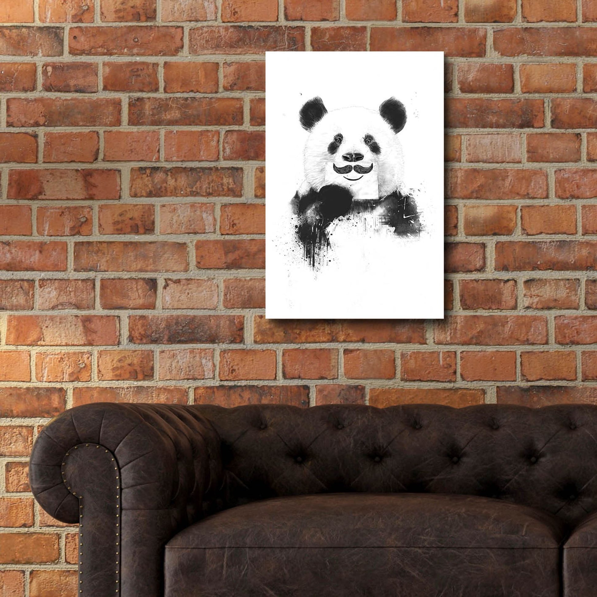 Epic Art ' Funny Panda' by Balazs Solti, Acrylic Glass Wall Art,16x24