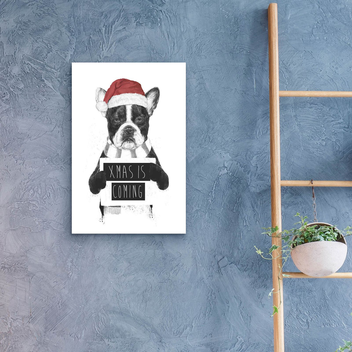 Xmas is Coming by Balazs Solti - 16x24 acrylic wall art in a room